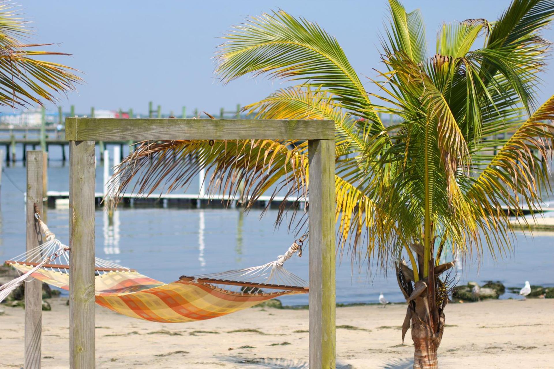 Oceanic Motel photo 6