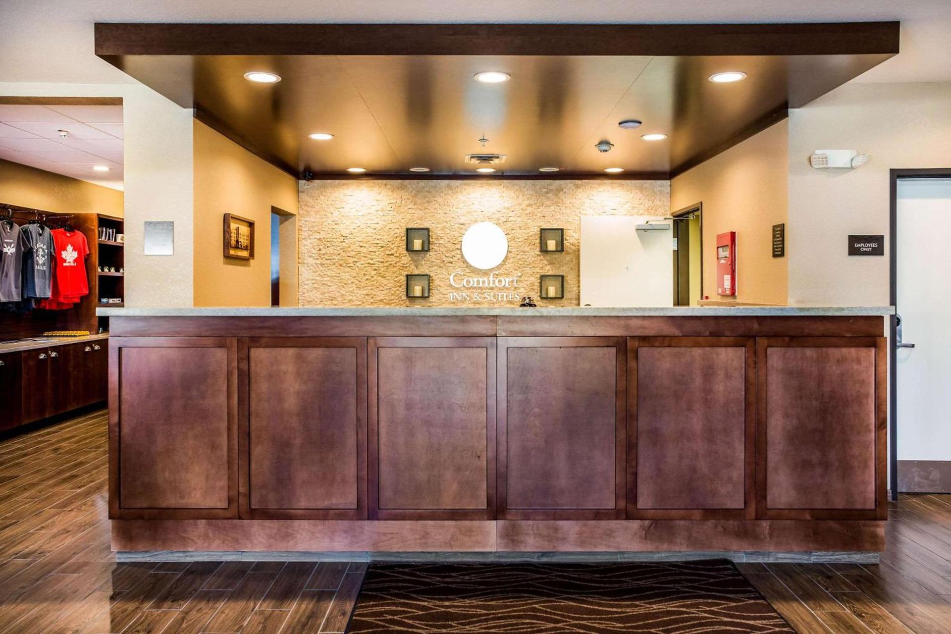 Comfort Inn & Suites Niagara Falls Blvd USA photo 3