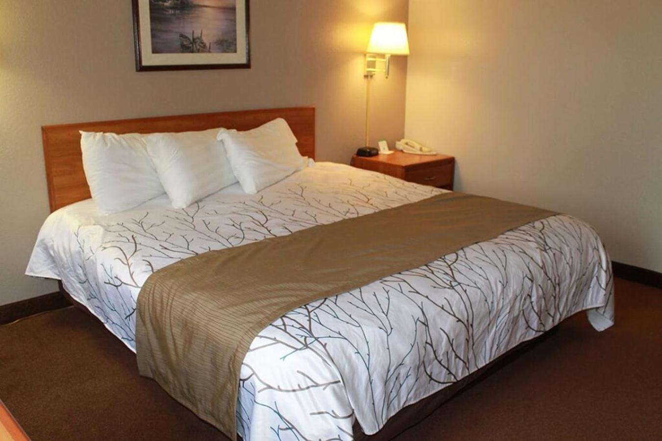 Edmore Inn photo 29