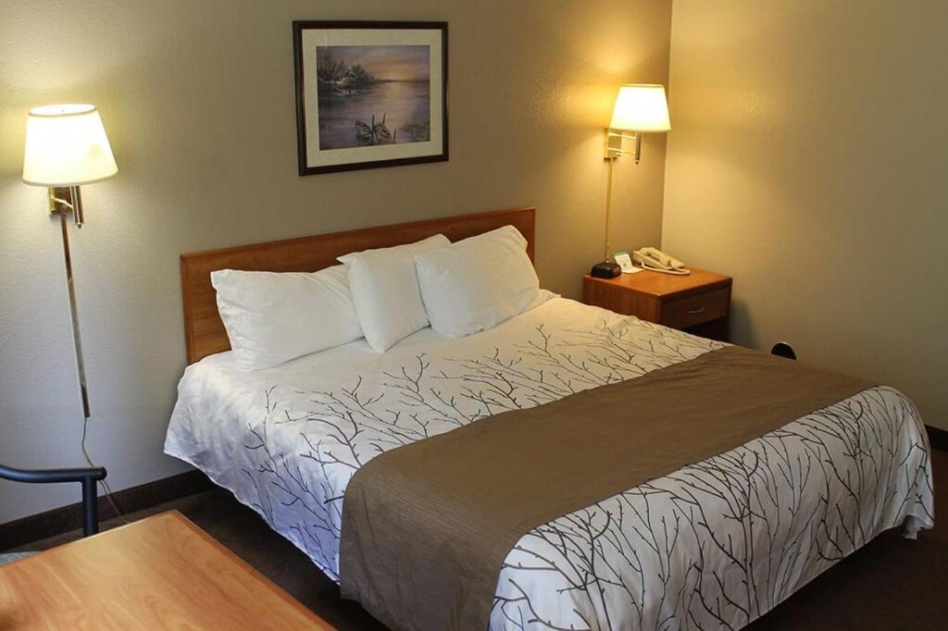 Edmore Inn photo 4