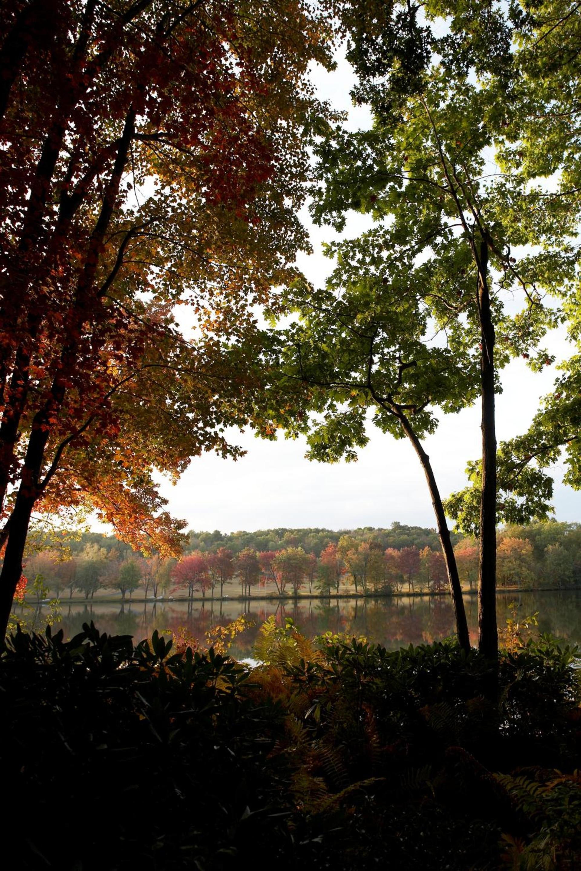 Mountain Springs Lake Resort photo 2