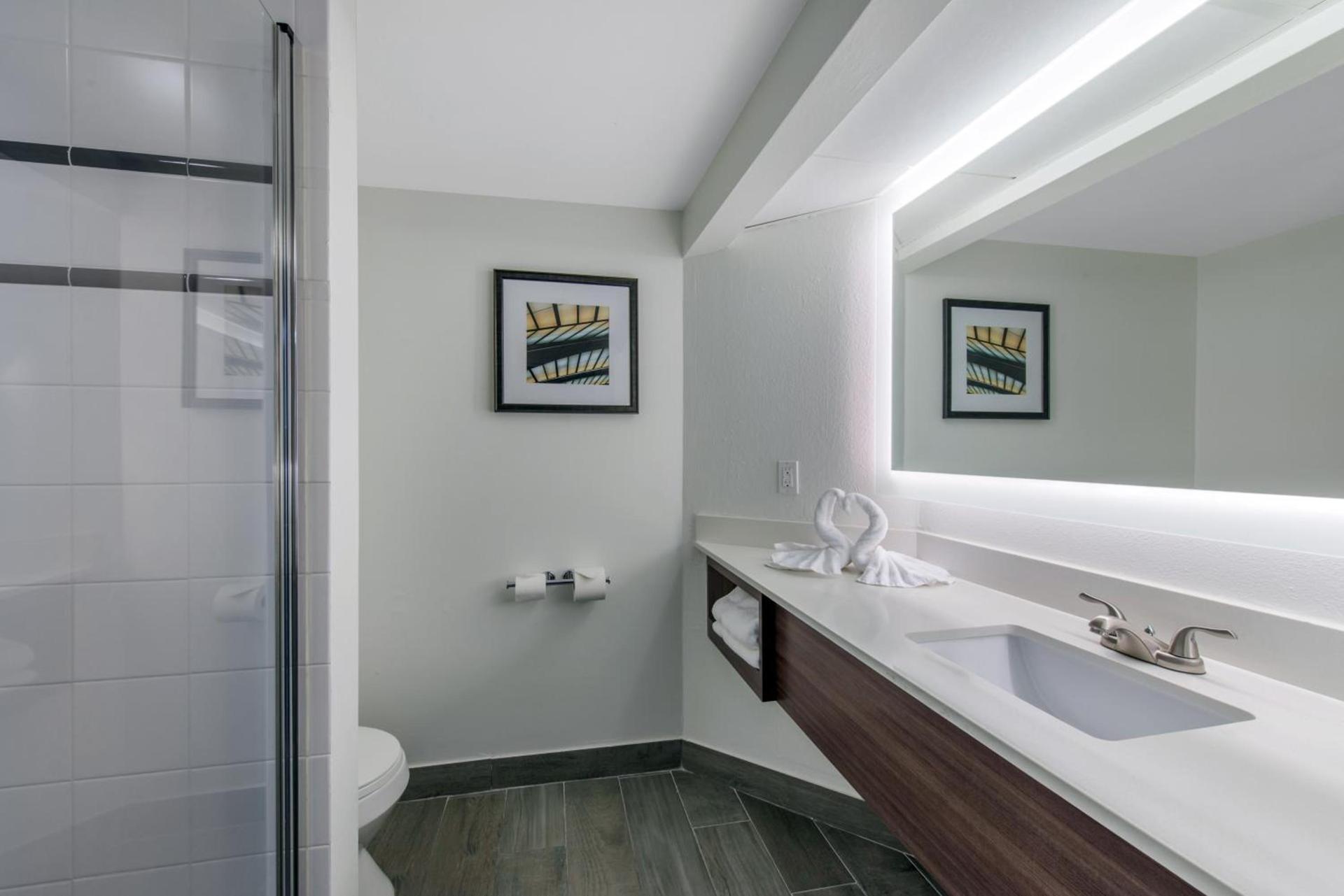 Holiday Inn Melbourne-Viera Conference Ctr by IHG photo 5