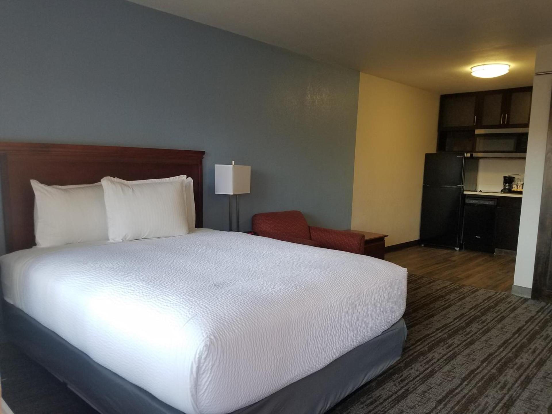 Hotel South Tampa & Suites photo 40