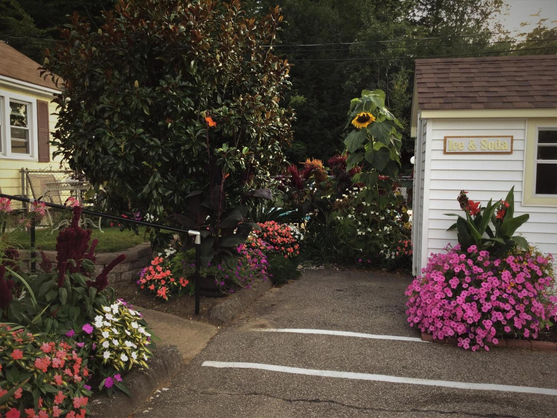Bay Top Motel photo 14