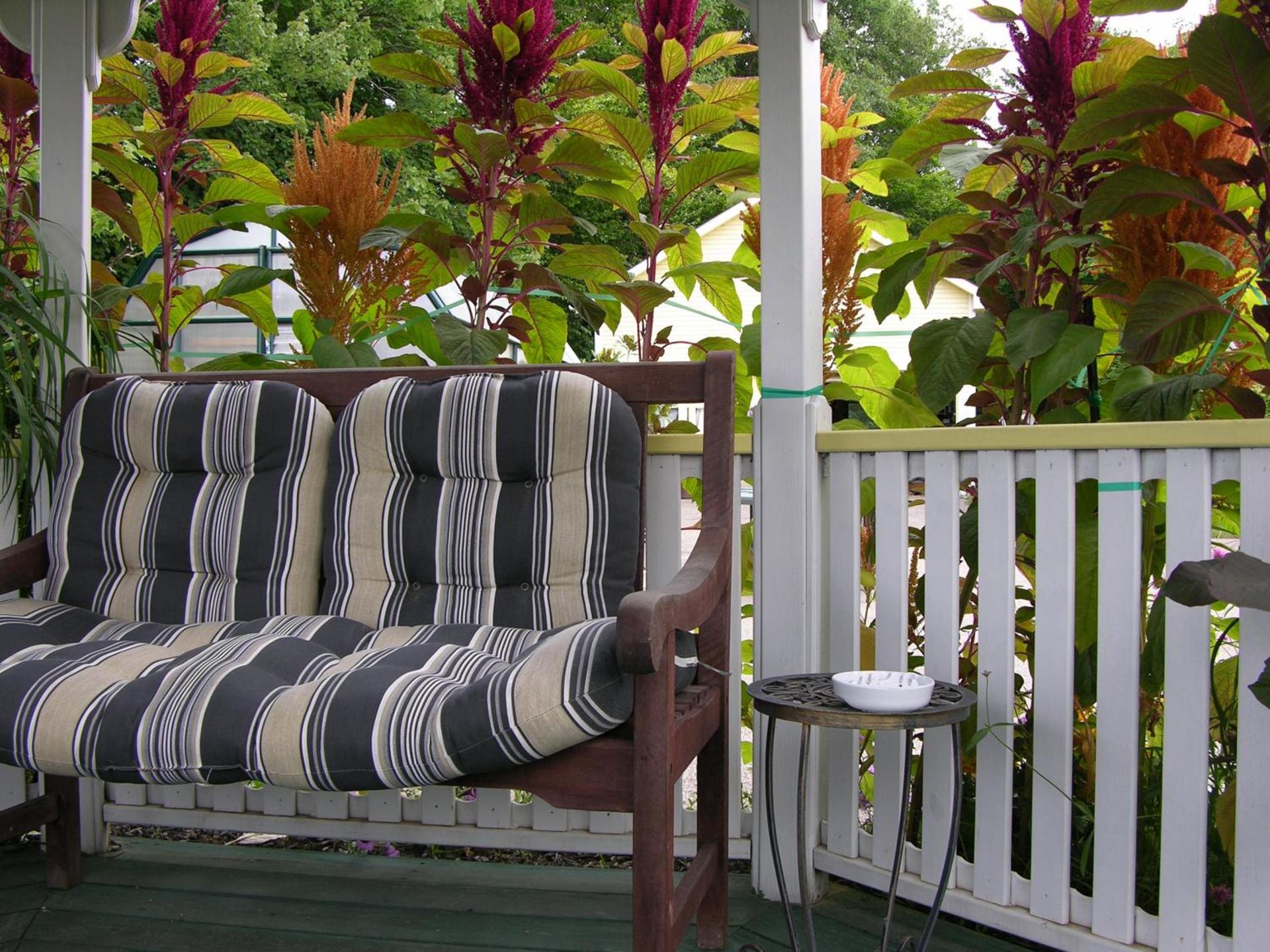 Bay Top Motel photo 16