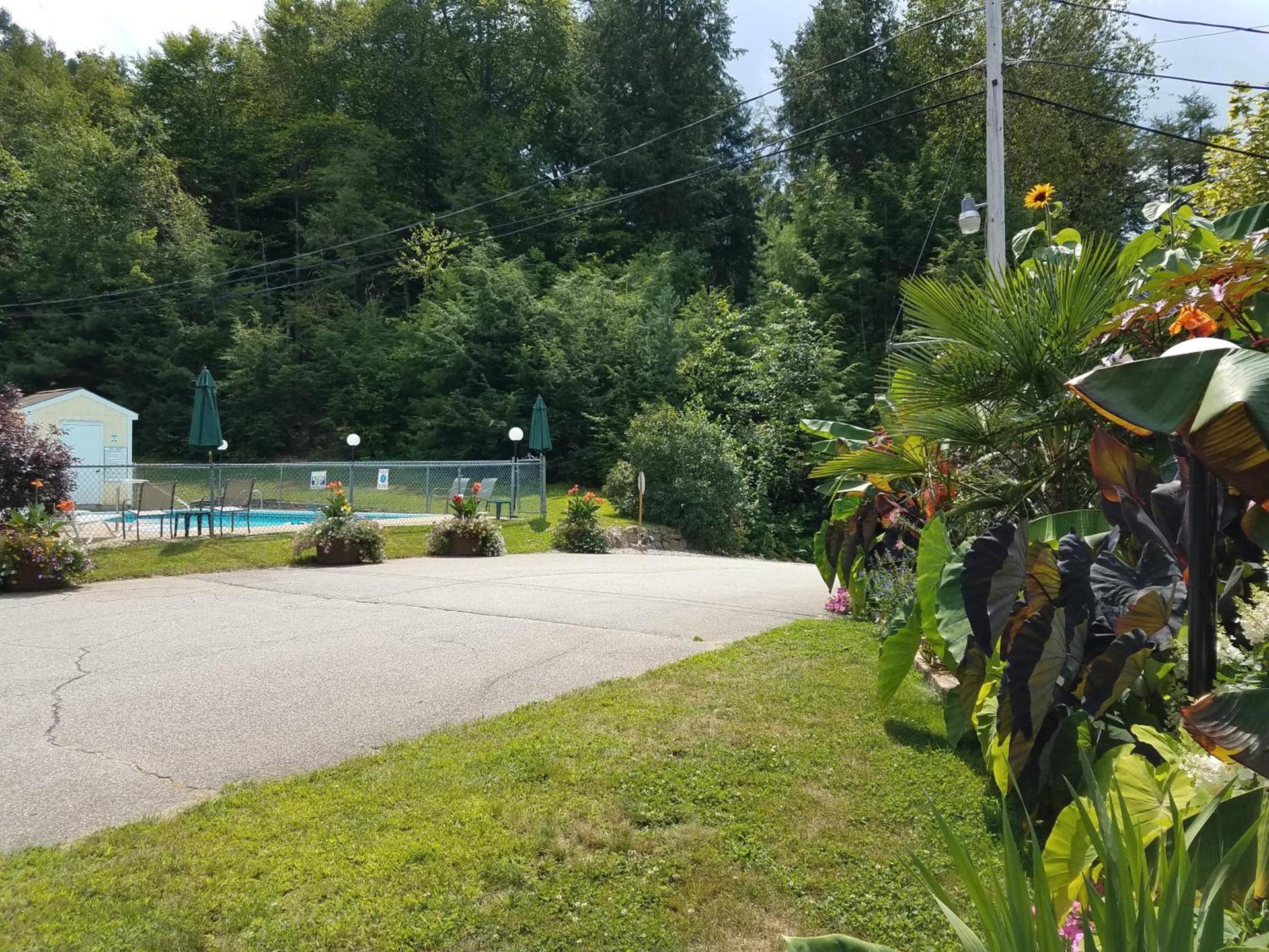 Bay Top Motel photo 26