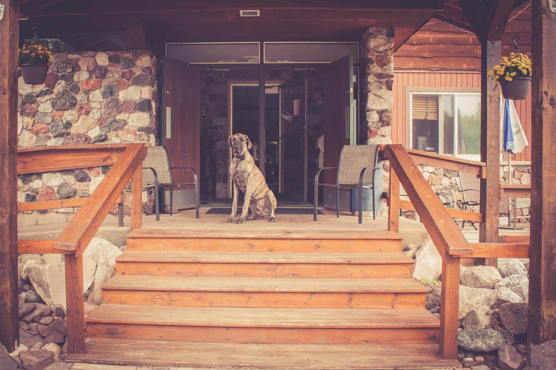 North Ironwood Acres - Black River Lodge photo 6