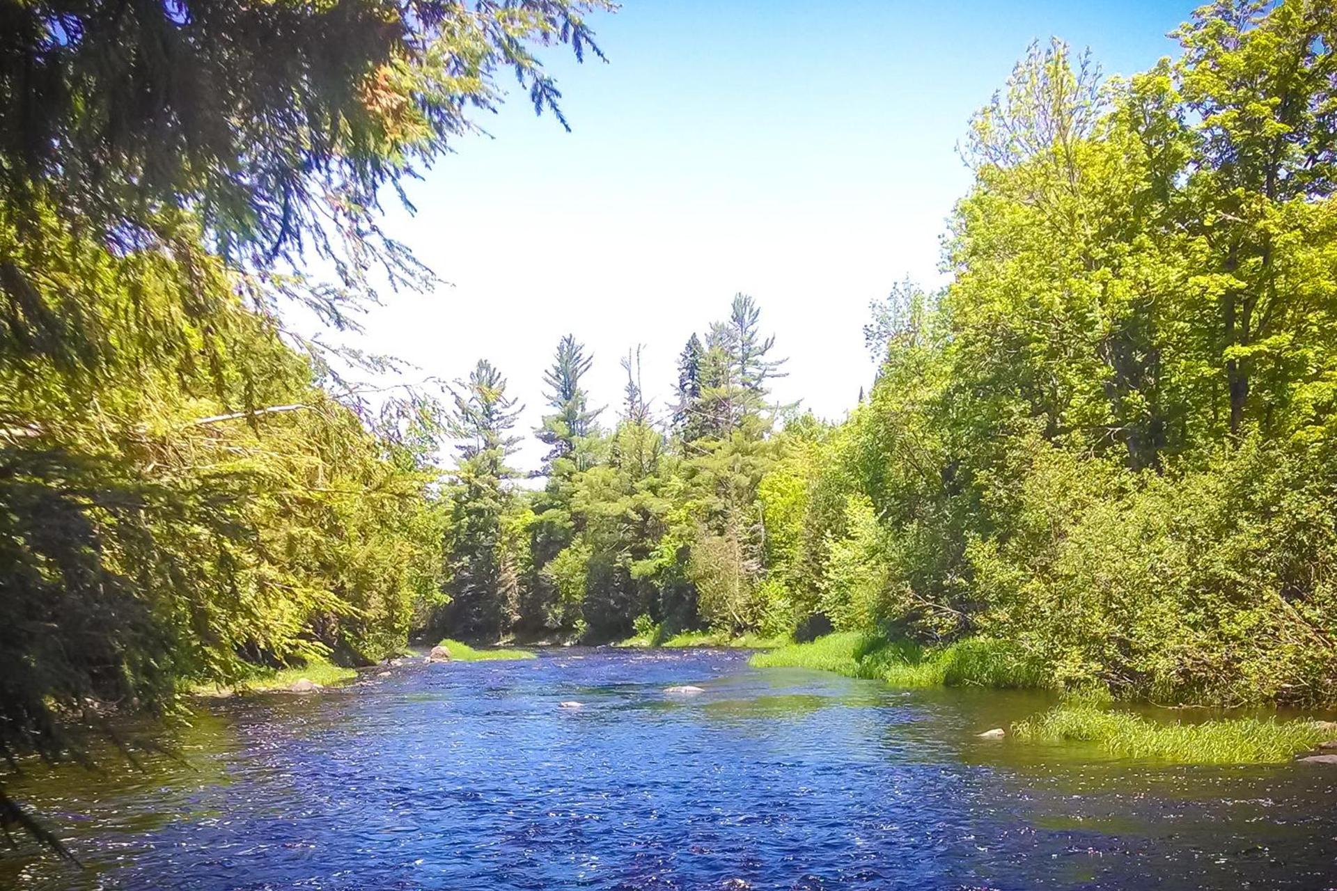 North Ironwood Acres - Black River Lodge photo 28