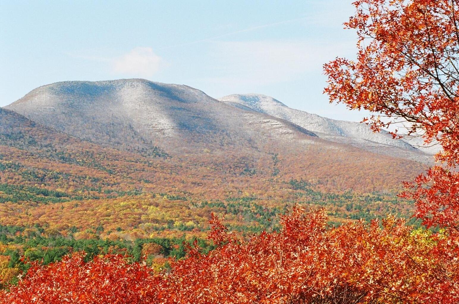 Winter Clove Inn & Resort photo 40