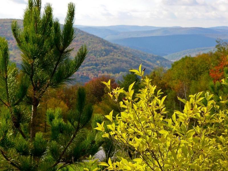 Winter Clove Inn & Resort photo 8