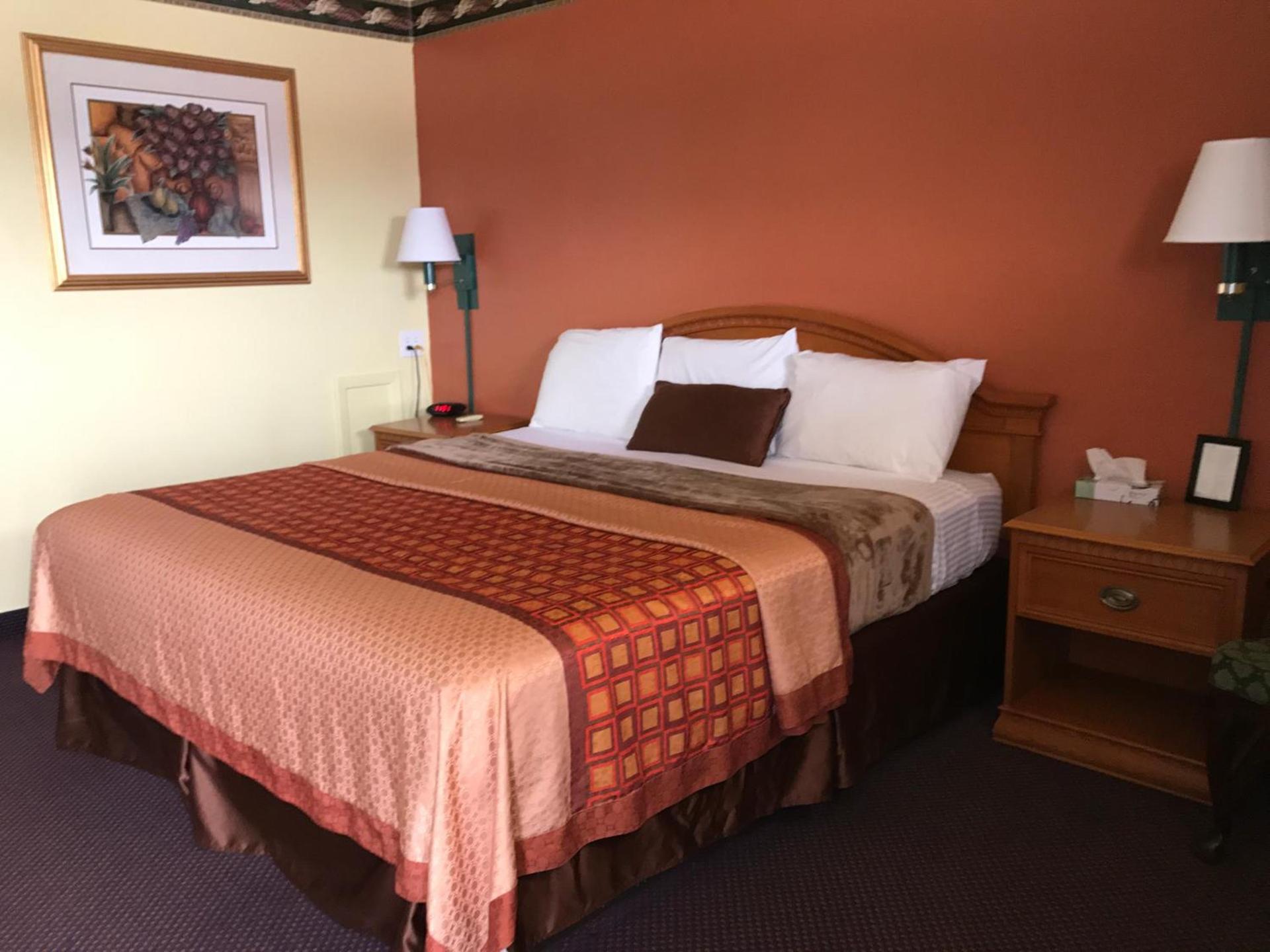 Shamrock Country Inn photo 42