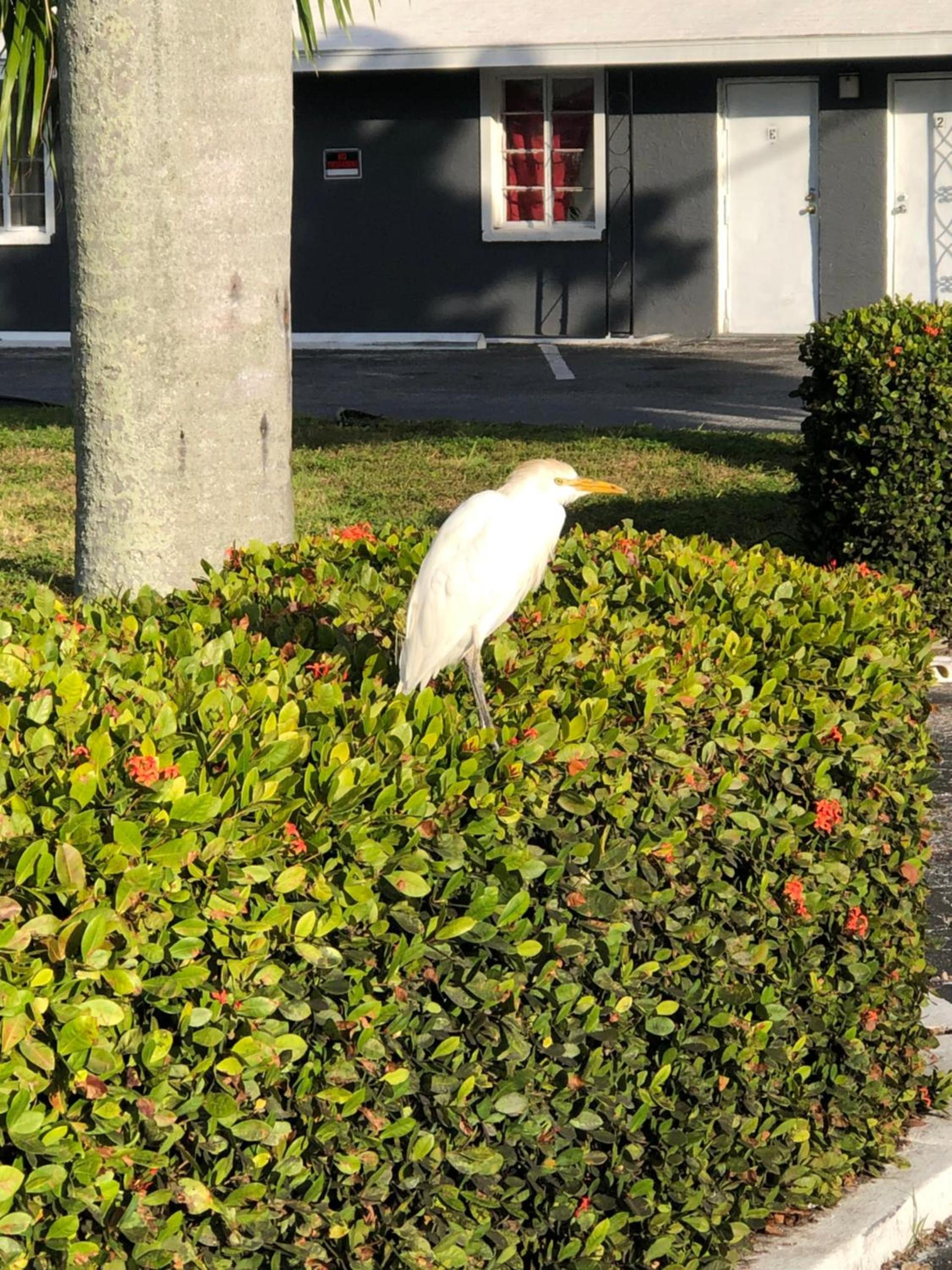 Bay Breeze Inn Bradenton Downtown photo 8