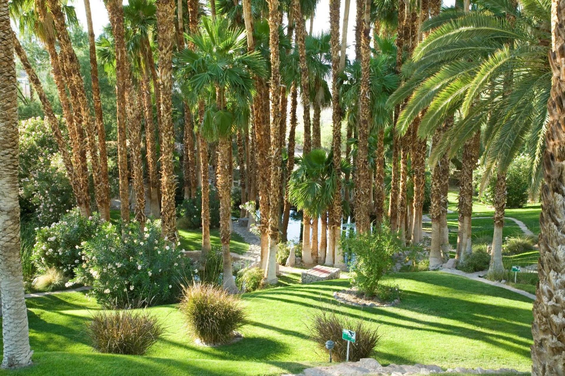 The Inn at Death Valley photo 6