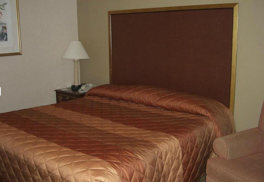 Stardust Motel photo 15