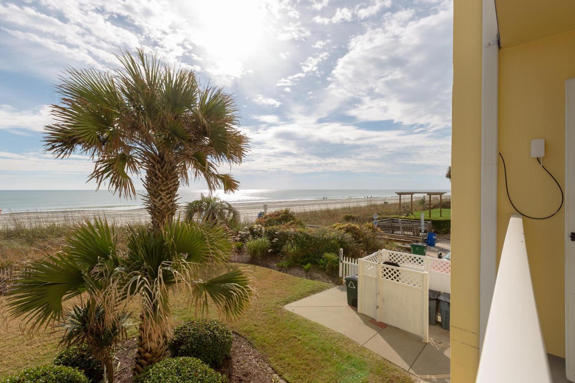 Jade Tree Cove photo 38