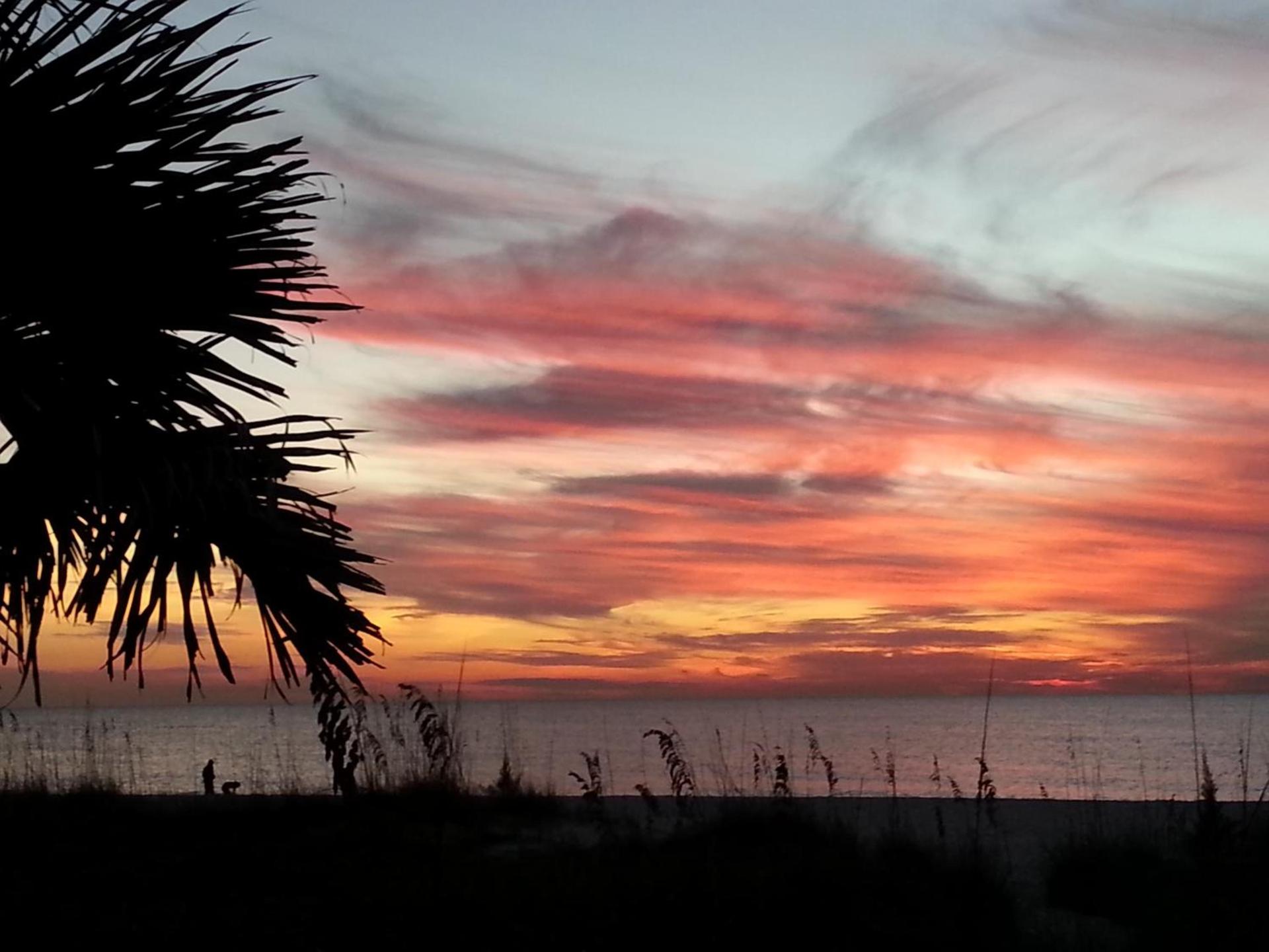 Escape Coastal Resort on Casey Key photo 75