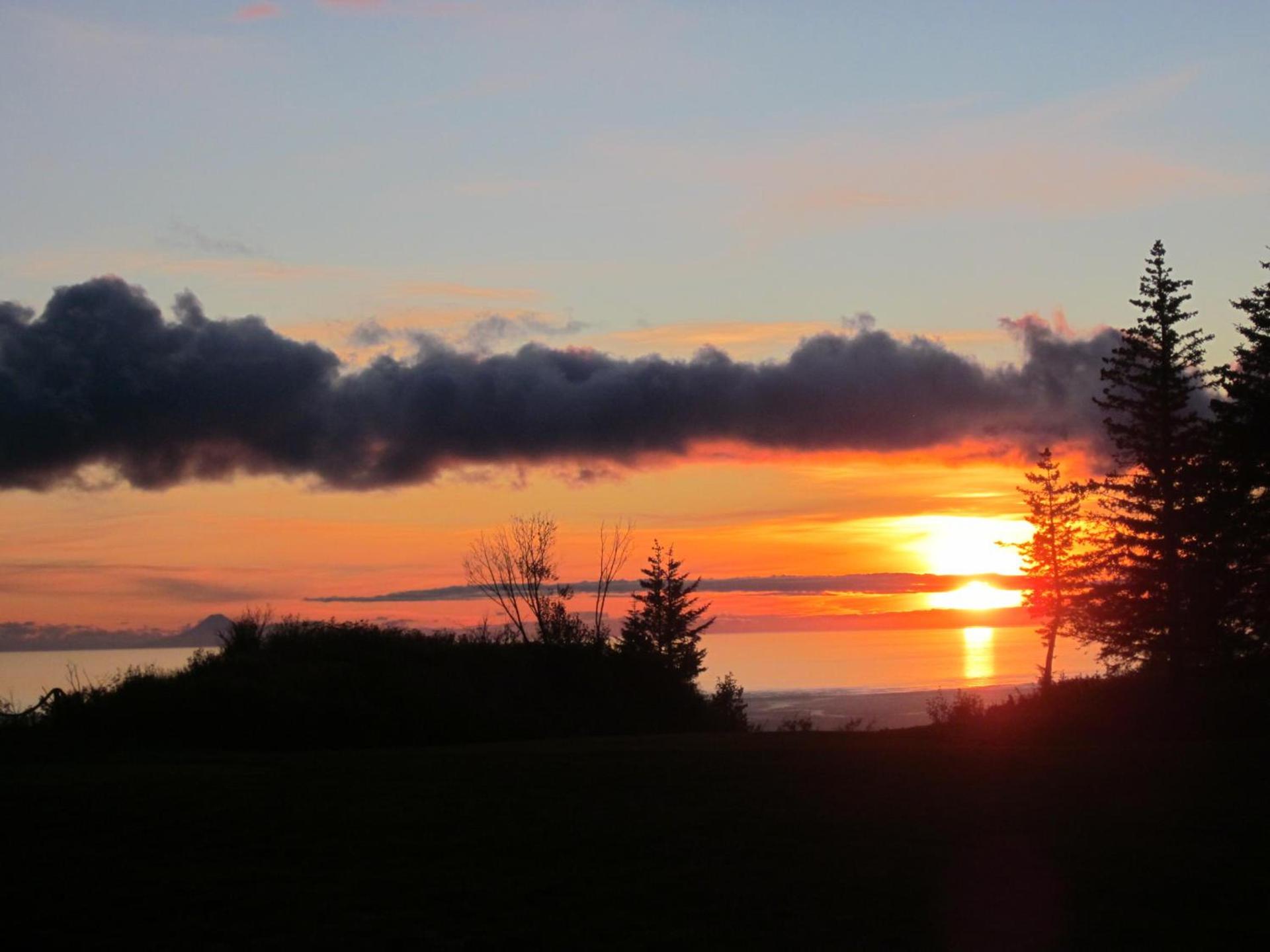 Kenai Peninsula Suites photo 8