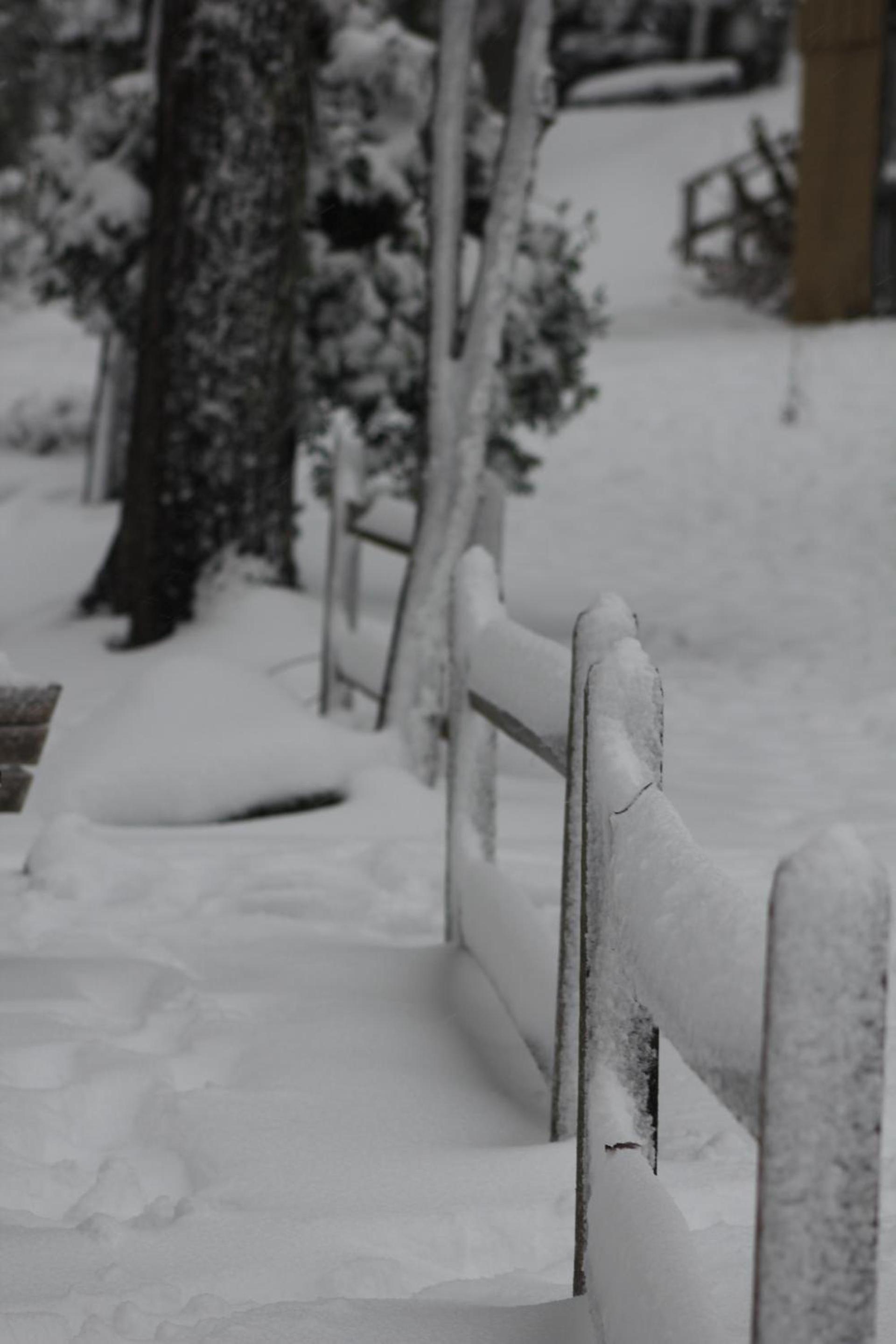 The Evening Shade River Lodge and Cabins photo 33