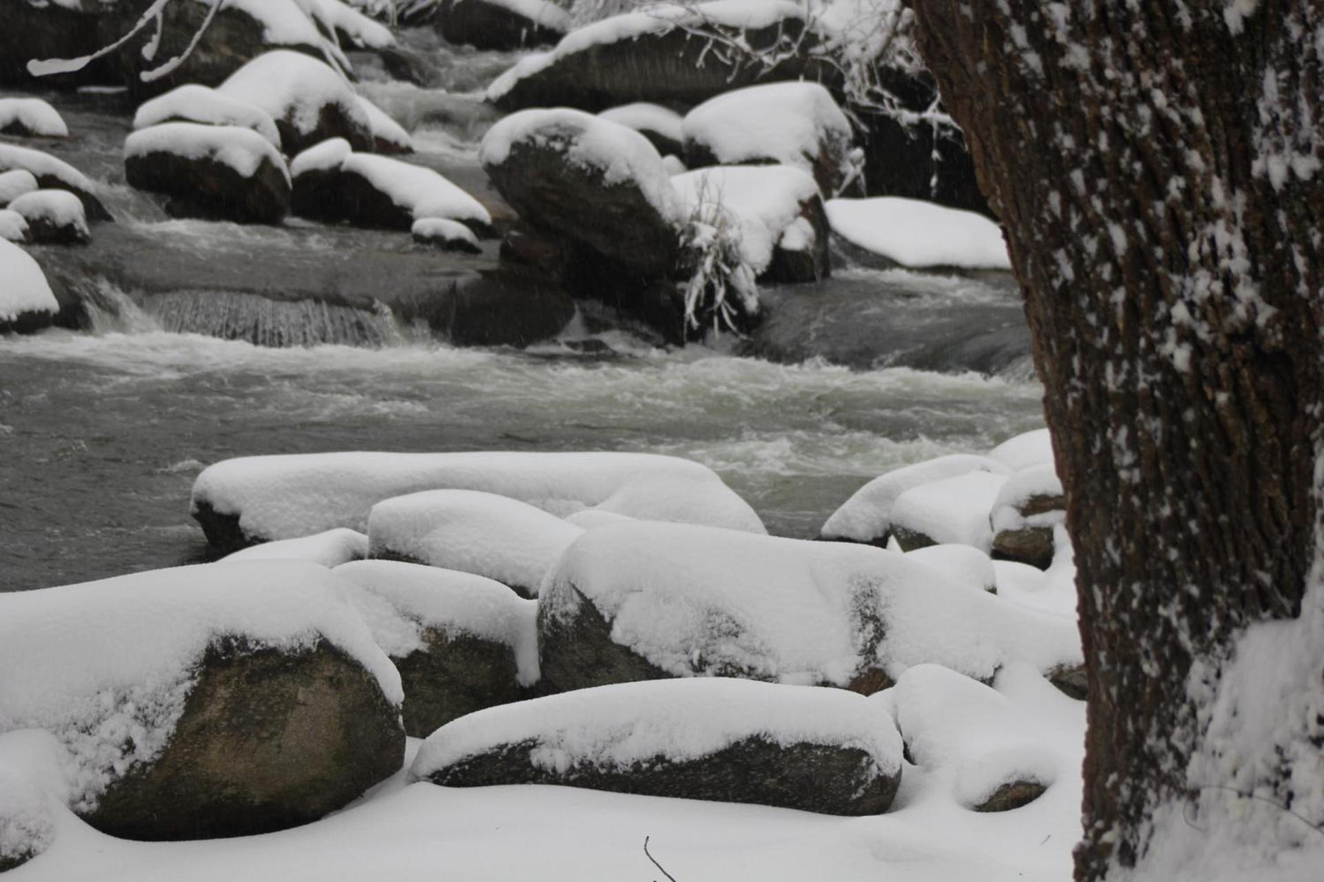 The Evening Shade River Lodge and Cabins photo 29