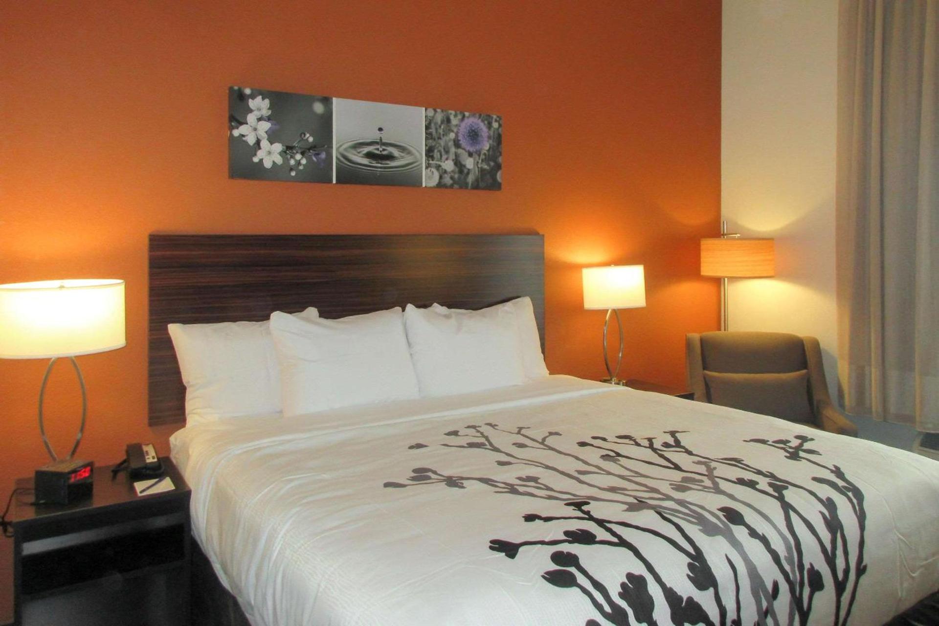 Sleep Inn & Suites Oregon - Madison photo 4