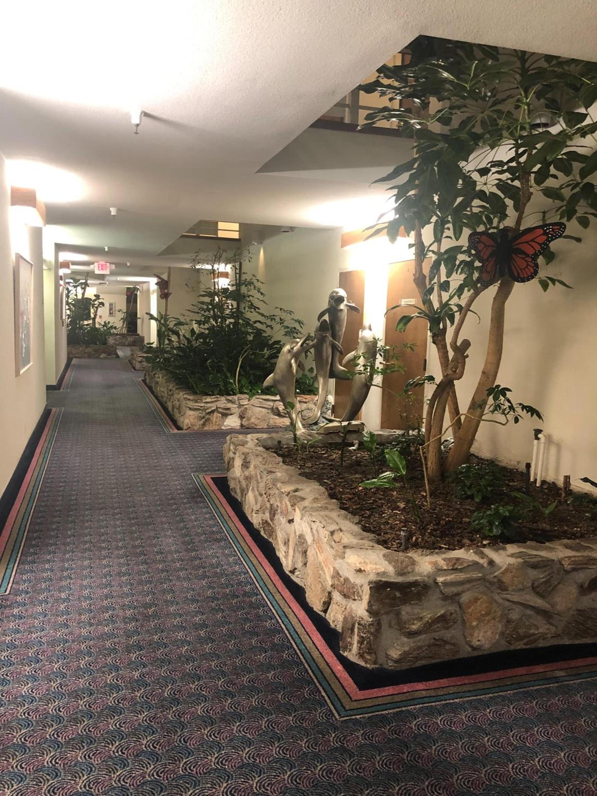 The Monarch Resort photo 32