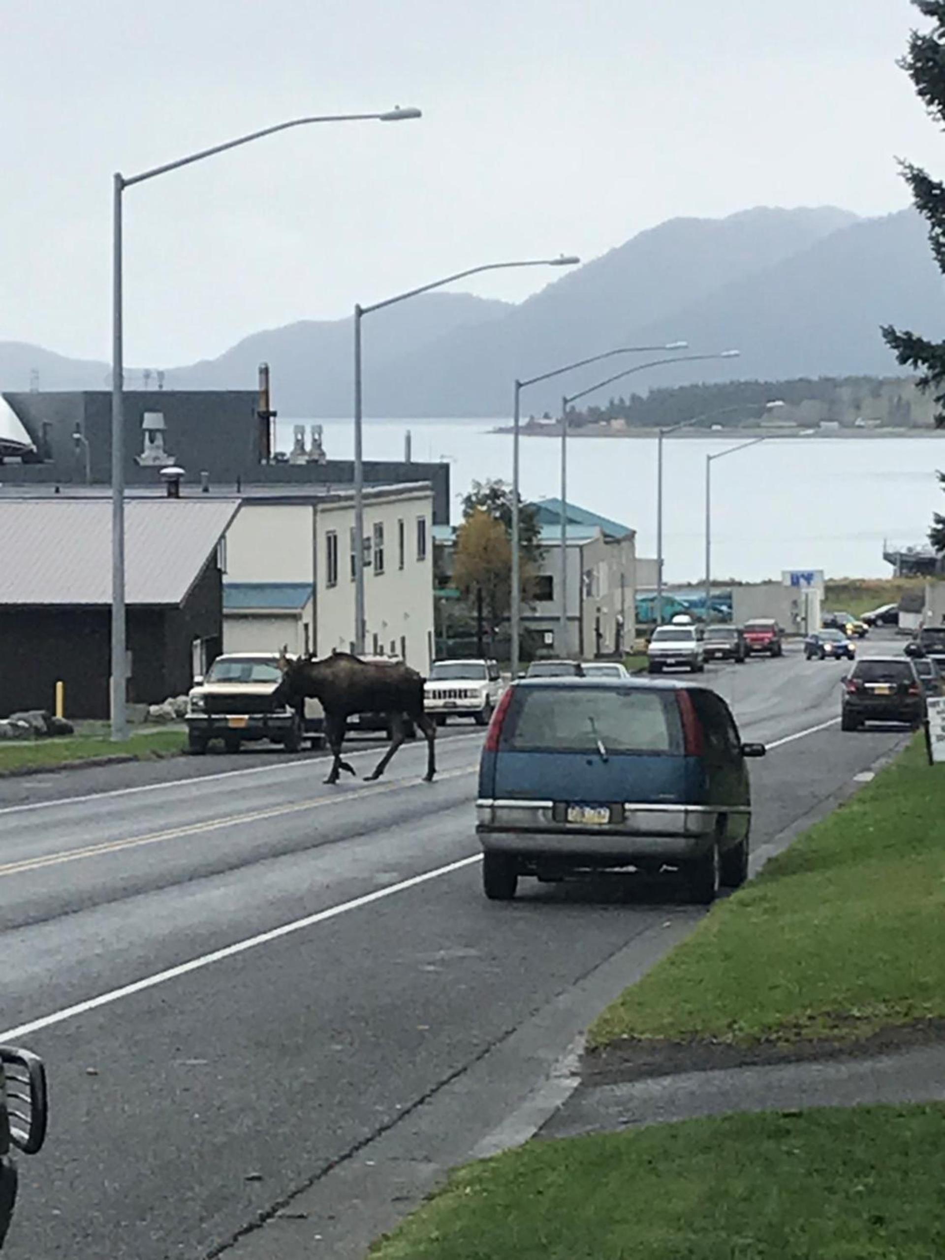 The Tides Inn photo 33