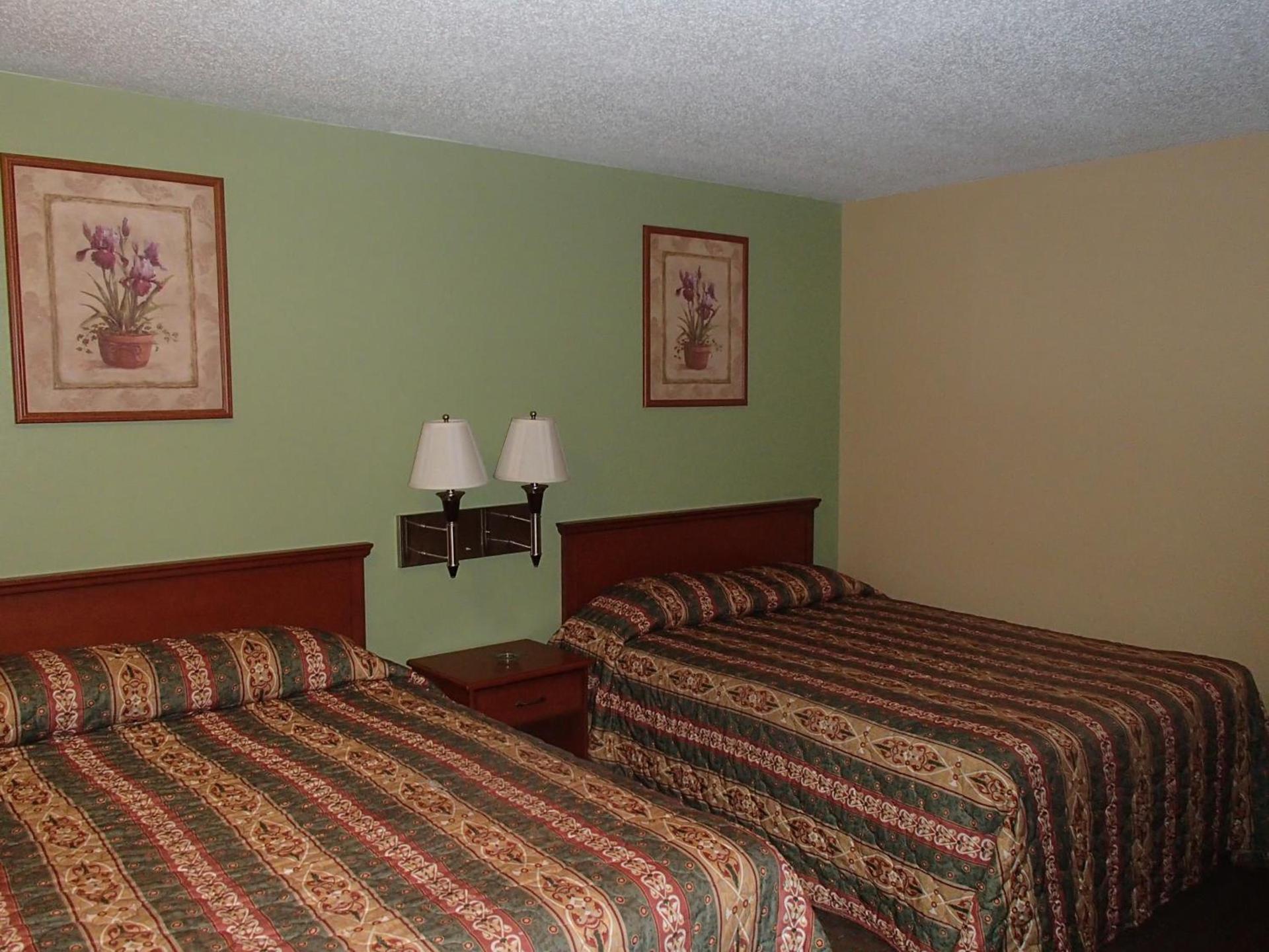 Royal Inn Of New Orleans photo 4
