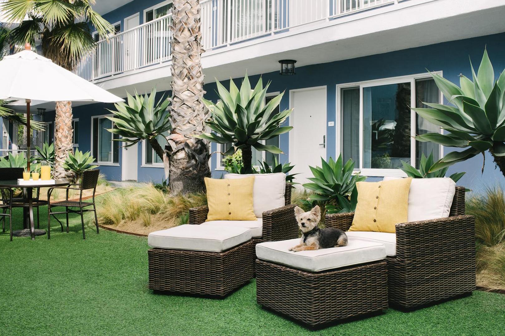 Bayside Hotel photo 43