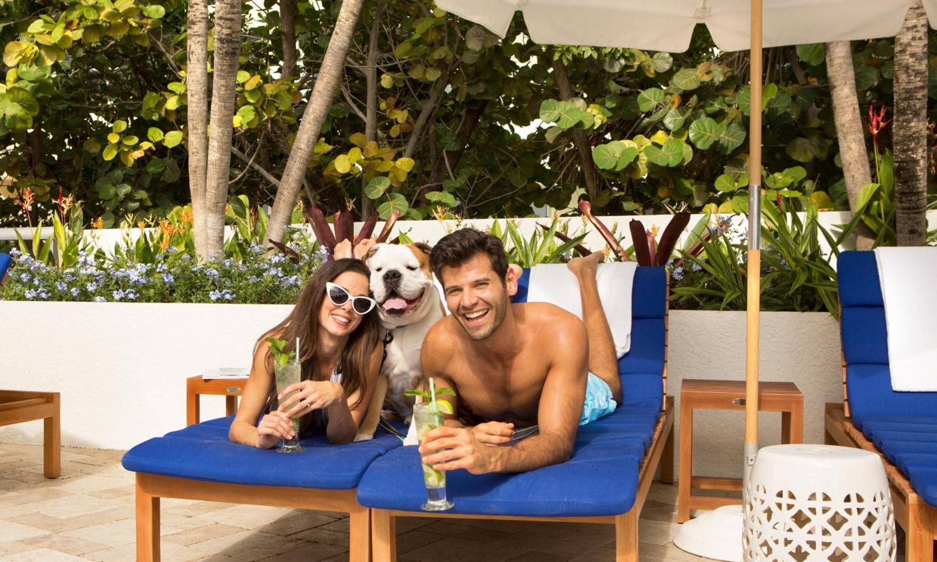 Sole Miami, A Noble House Resort photo 42