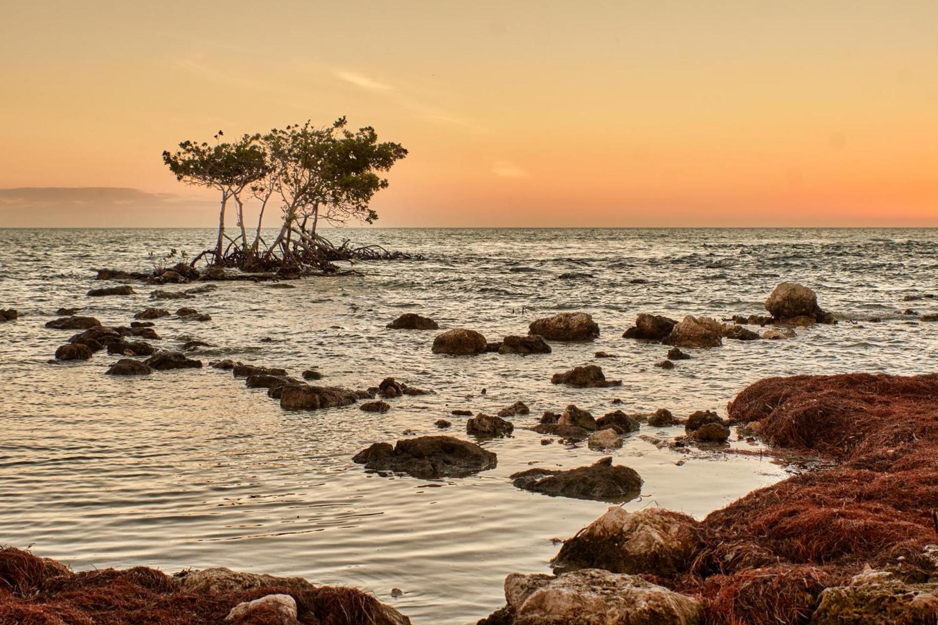 Isla Bella Beach Resort & Spa - Florida Keys photo 43