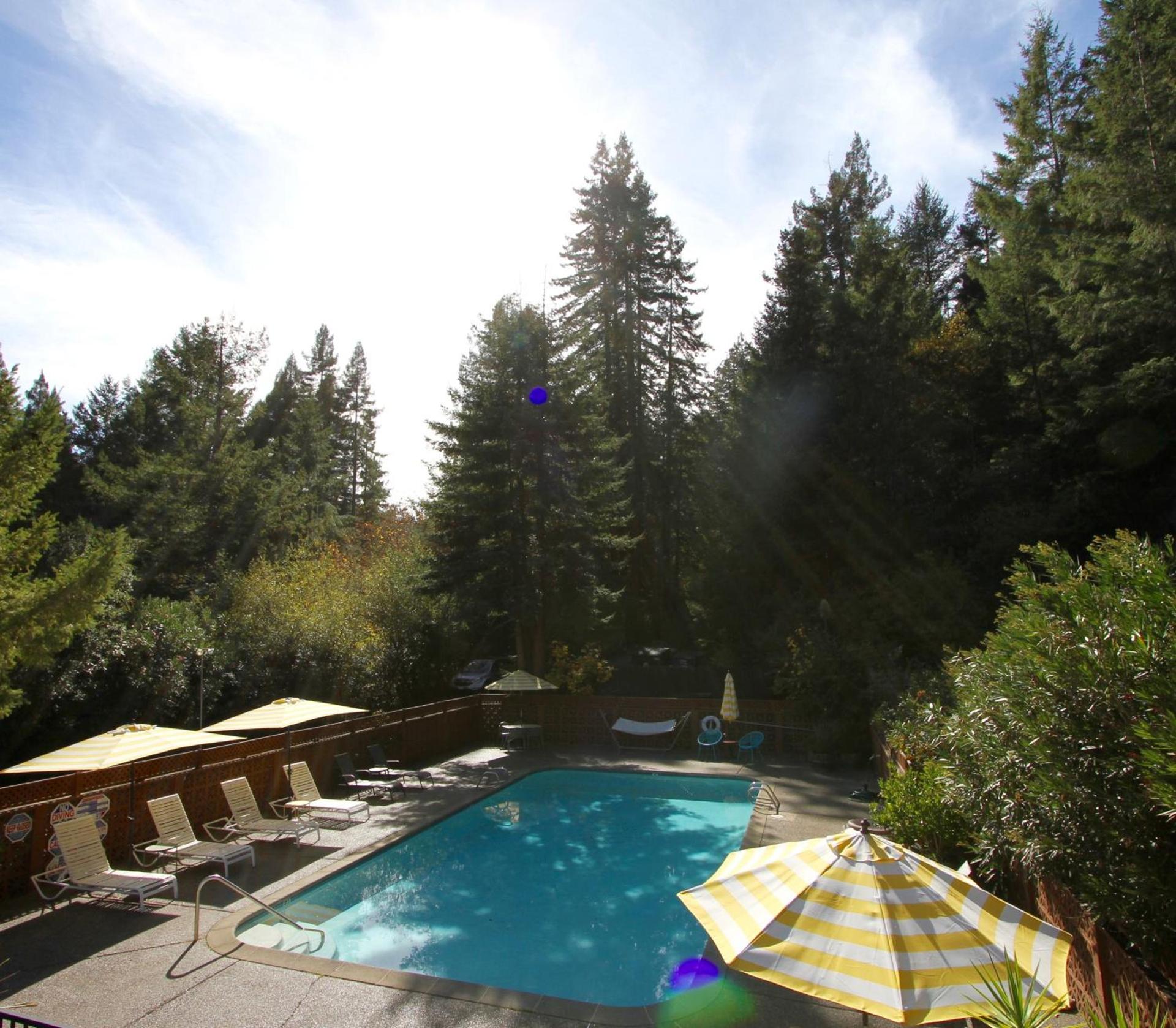 The Occidental Lodge photo 2