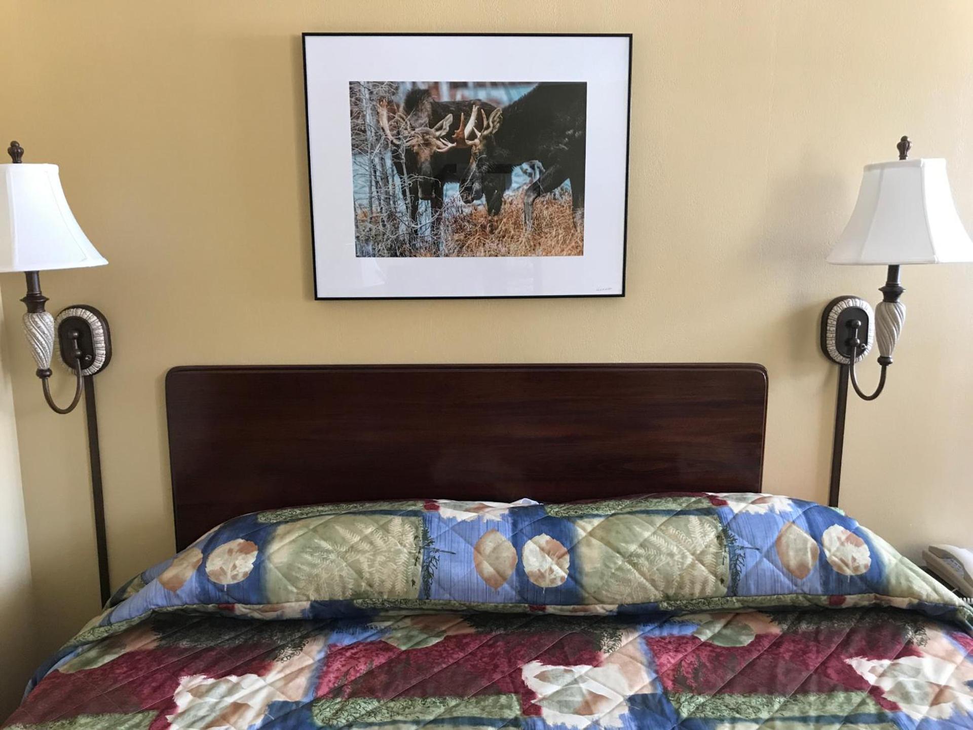Baxter Park Inn photo 20