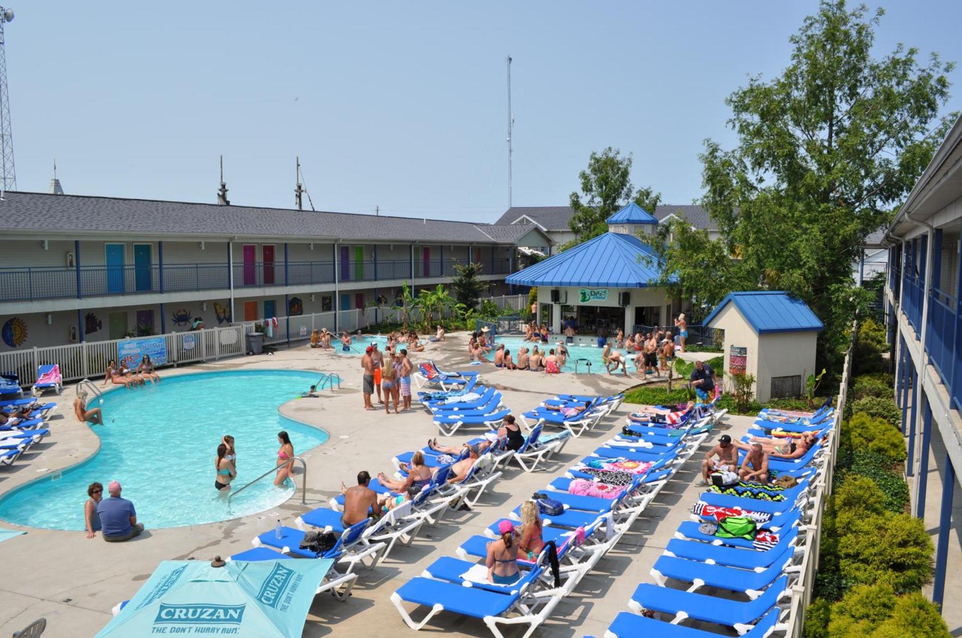 Islander Inn photo 4