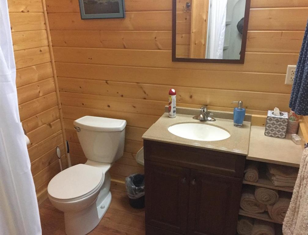Talkeetna Lakeside Cabins photo 6