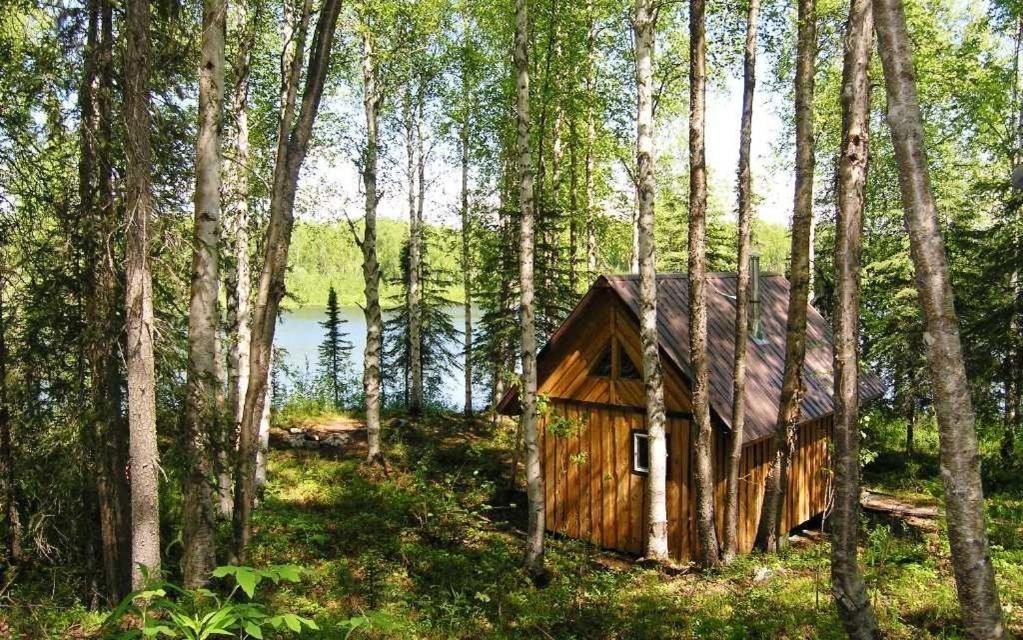 Talkeetna Lakeside Cabins photo 15