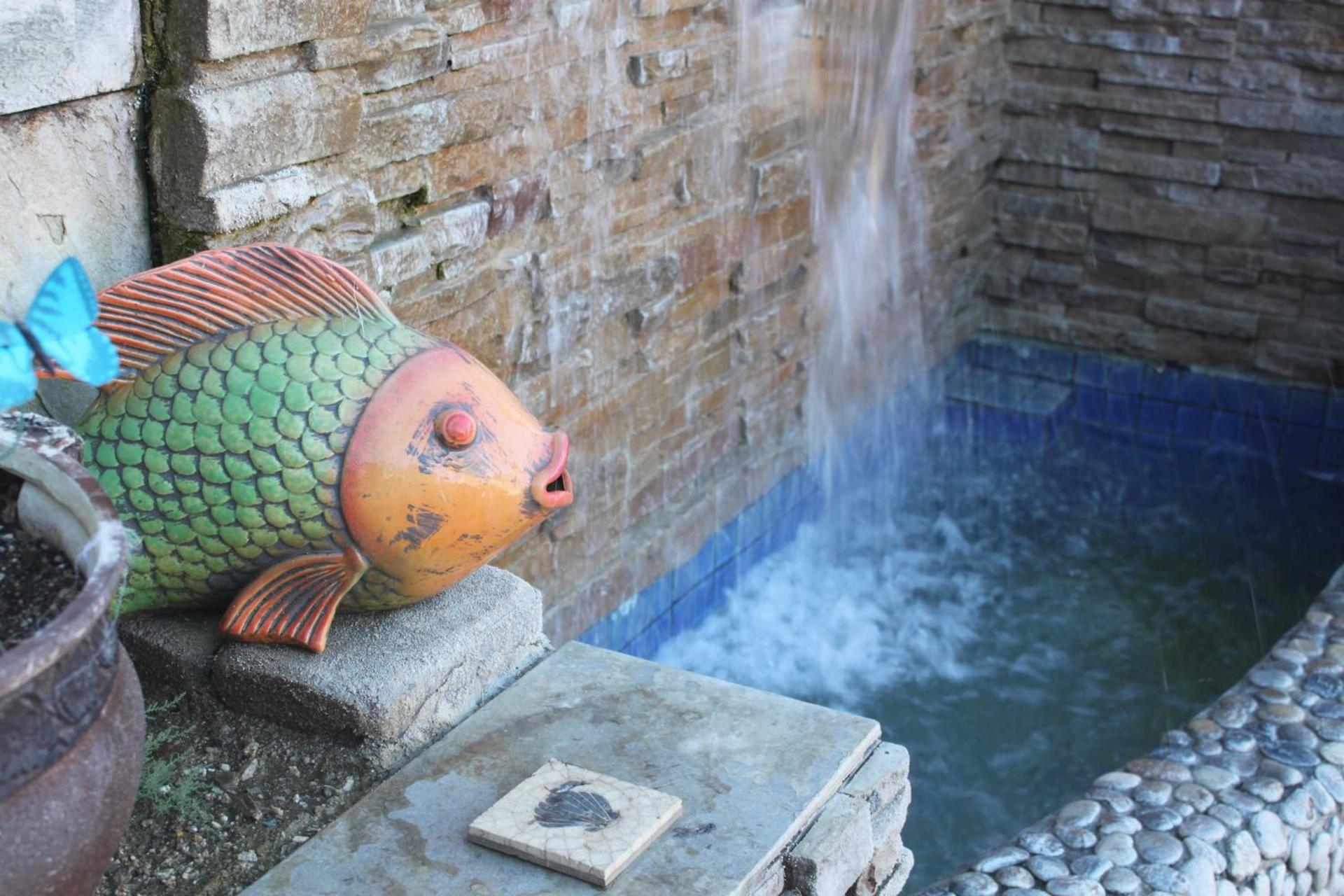 Sea Mountain Nude Resort & Spa Hotel - Adults Only photo 20