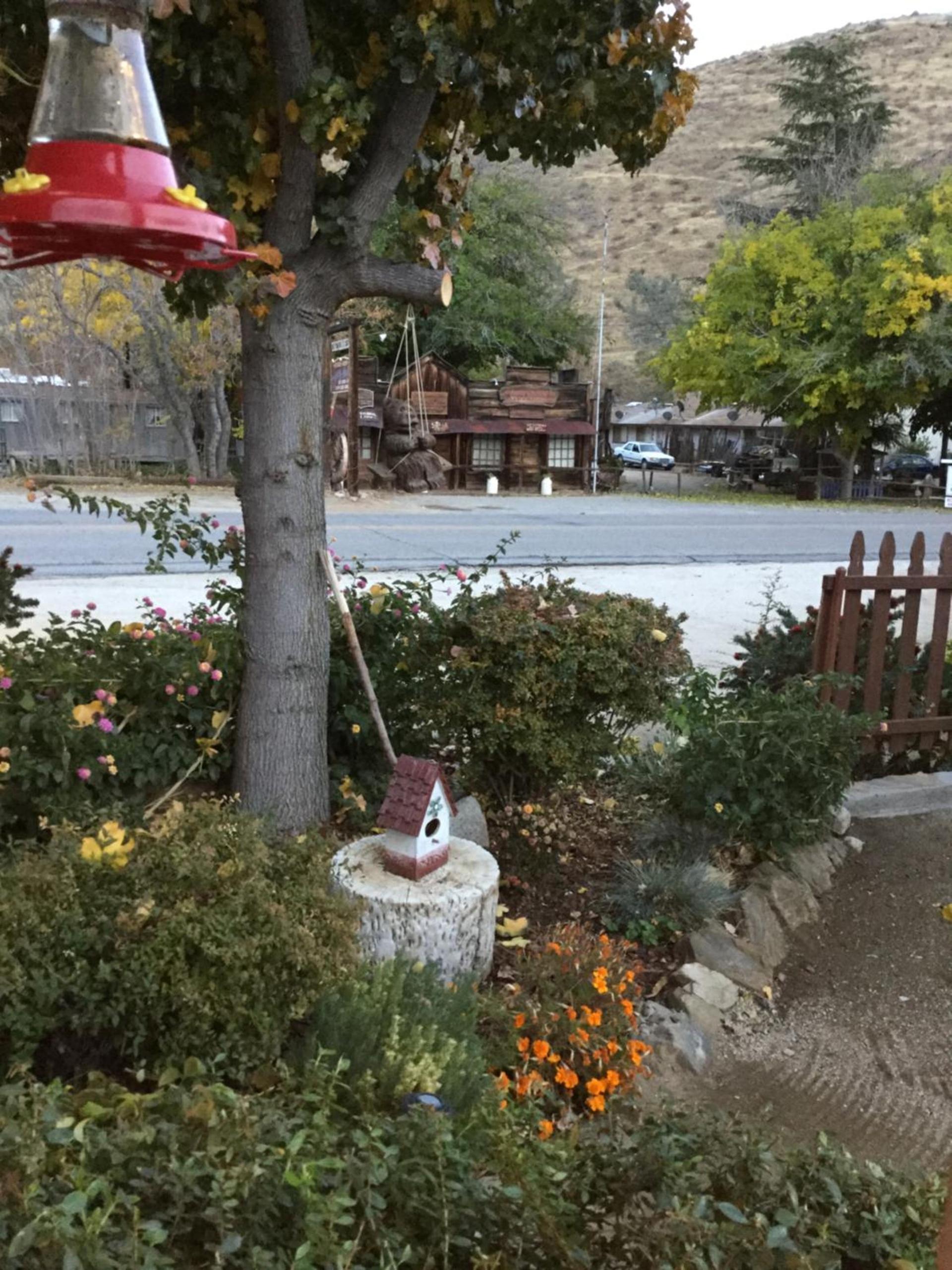 Sequoia Lodge photo 5