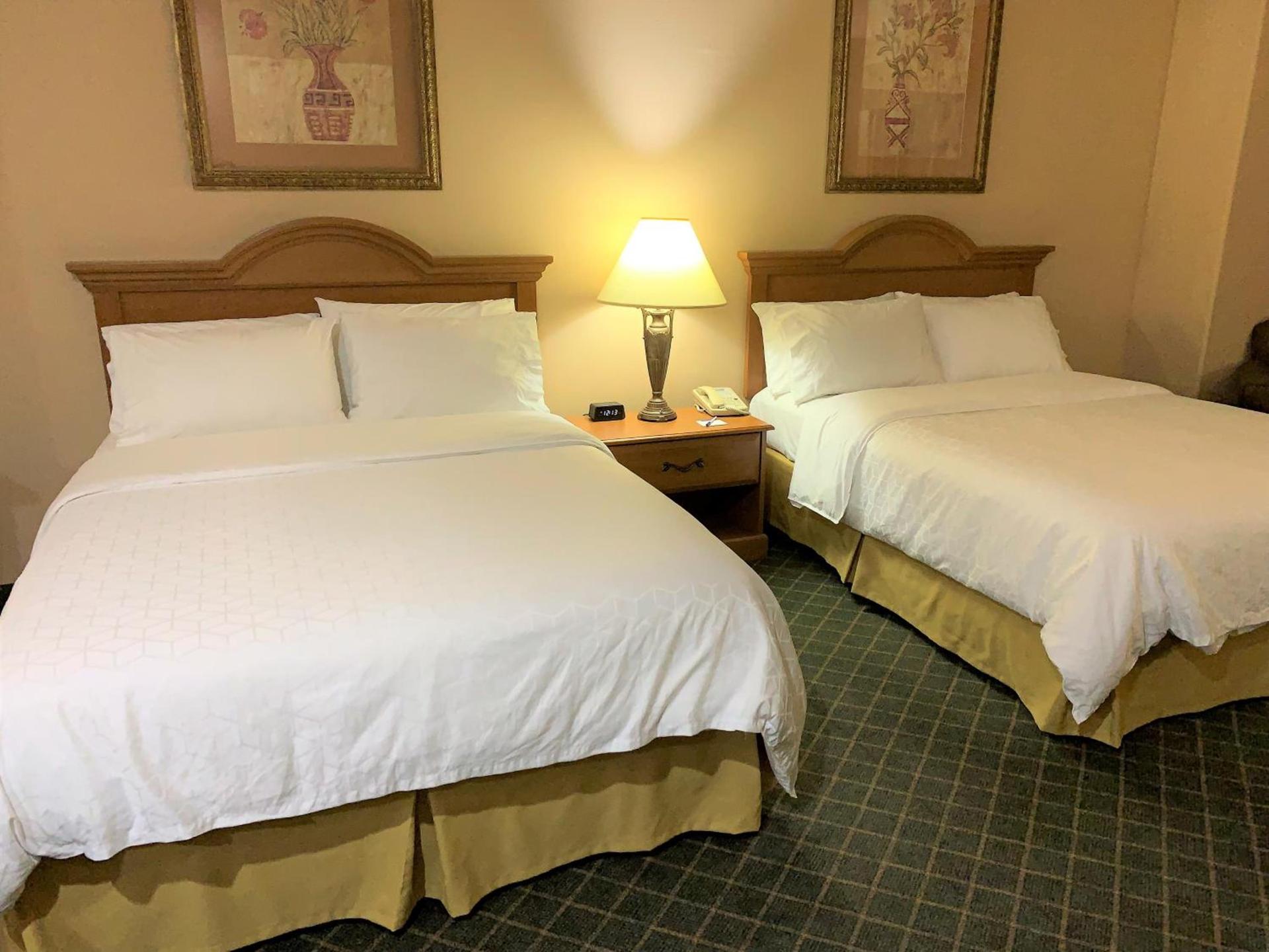 Holiday Inn Express Hotel and Suites Alice by IHG photo 8
