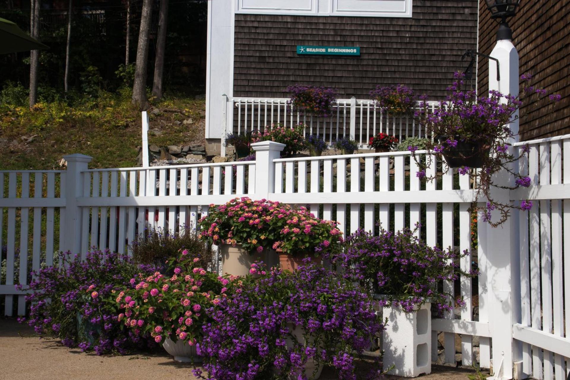 Sea View Motel photo 65