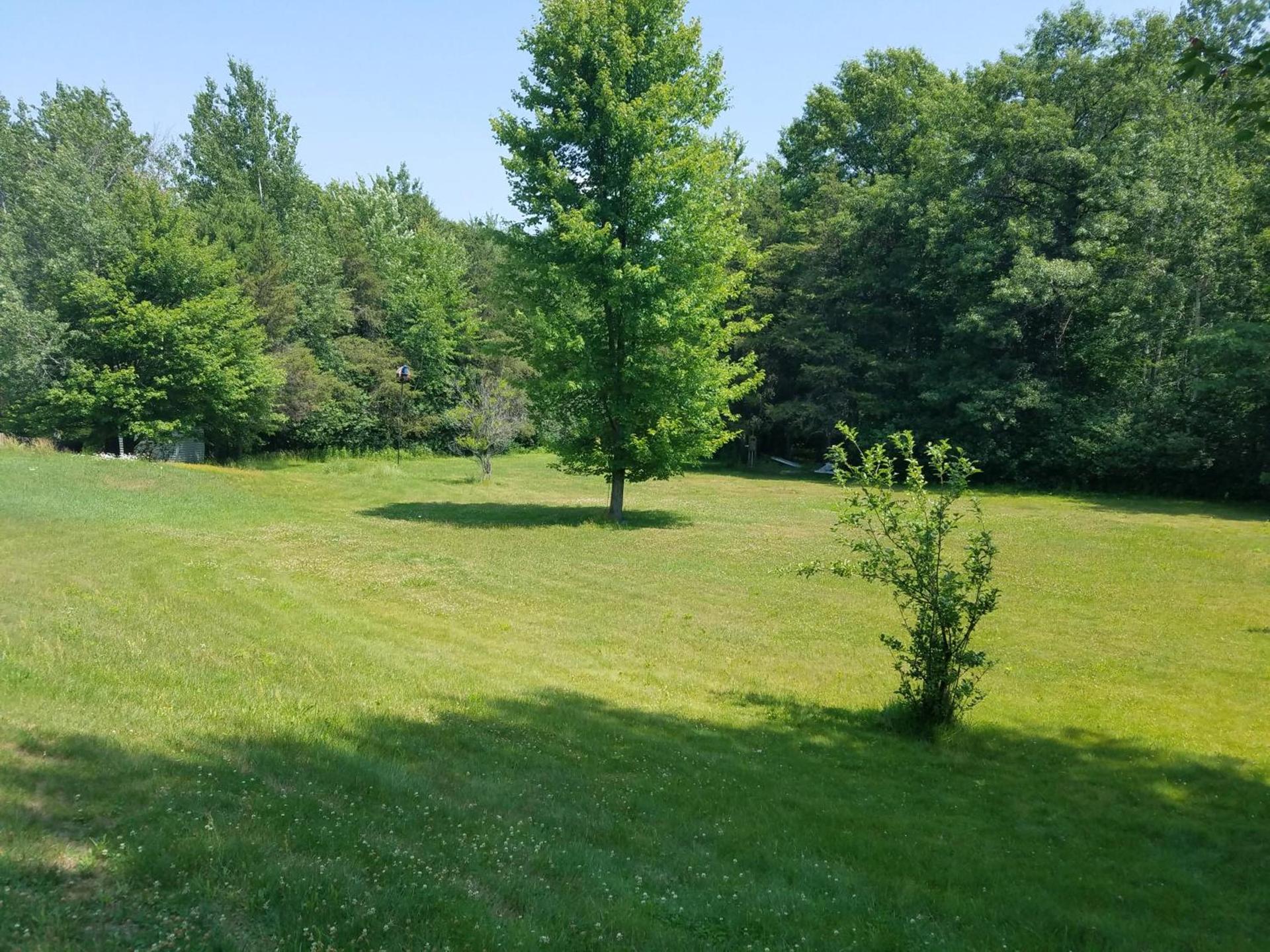 Tarragon Motel photo 34