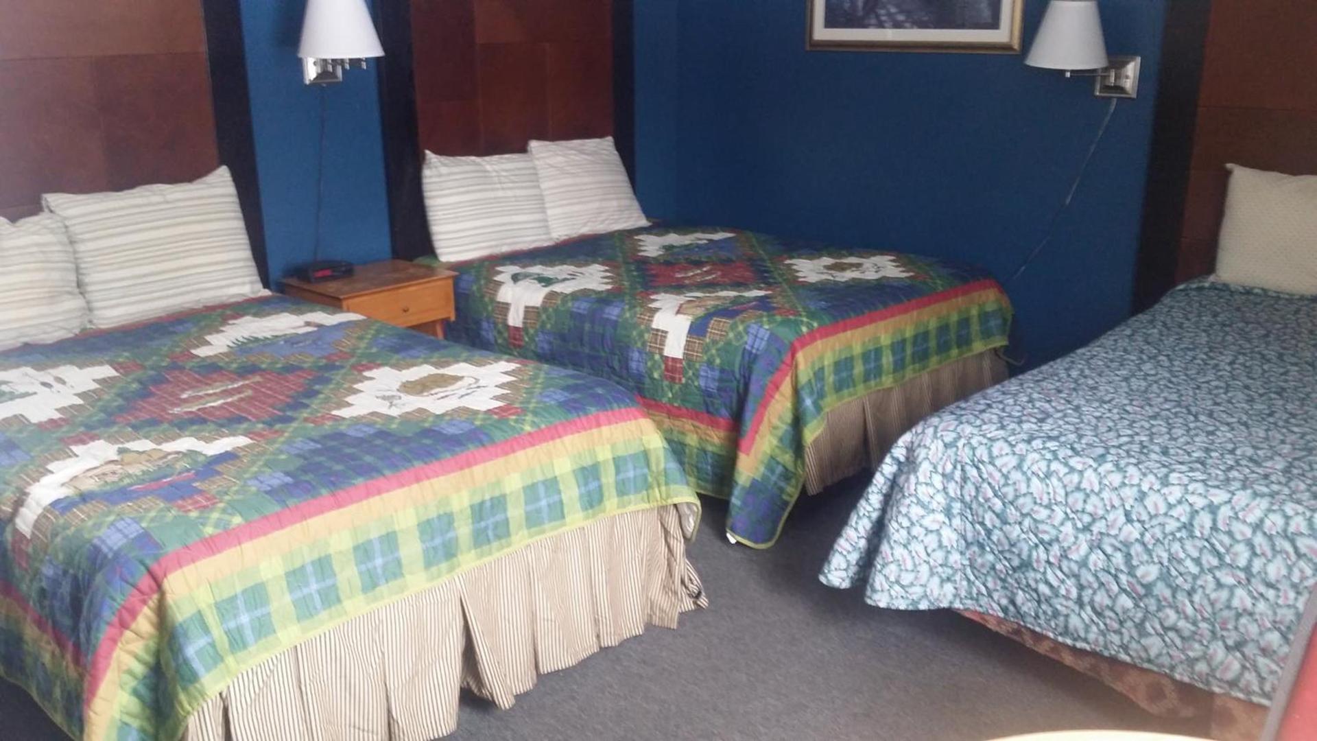 Tarragon Motel photo 33