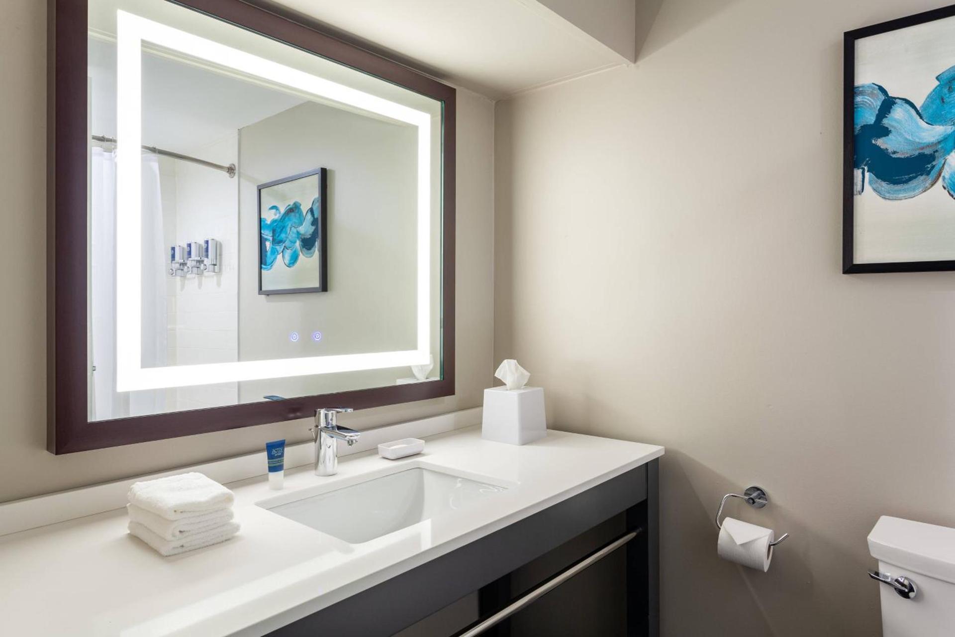 Four Points by Sheraton Orlando Convention Center photo 8
