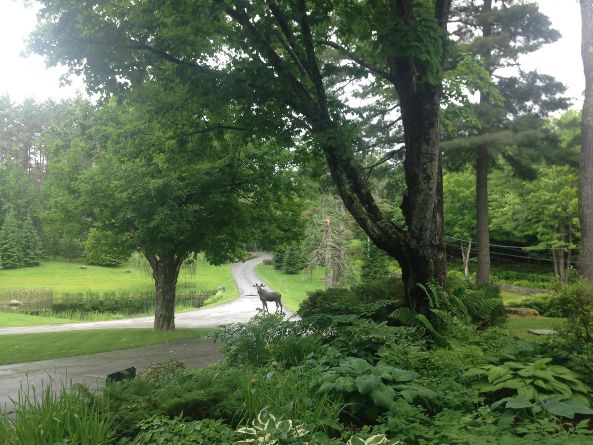 Adair Country Inn & Restaurant photo 36