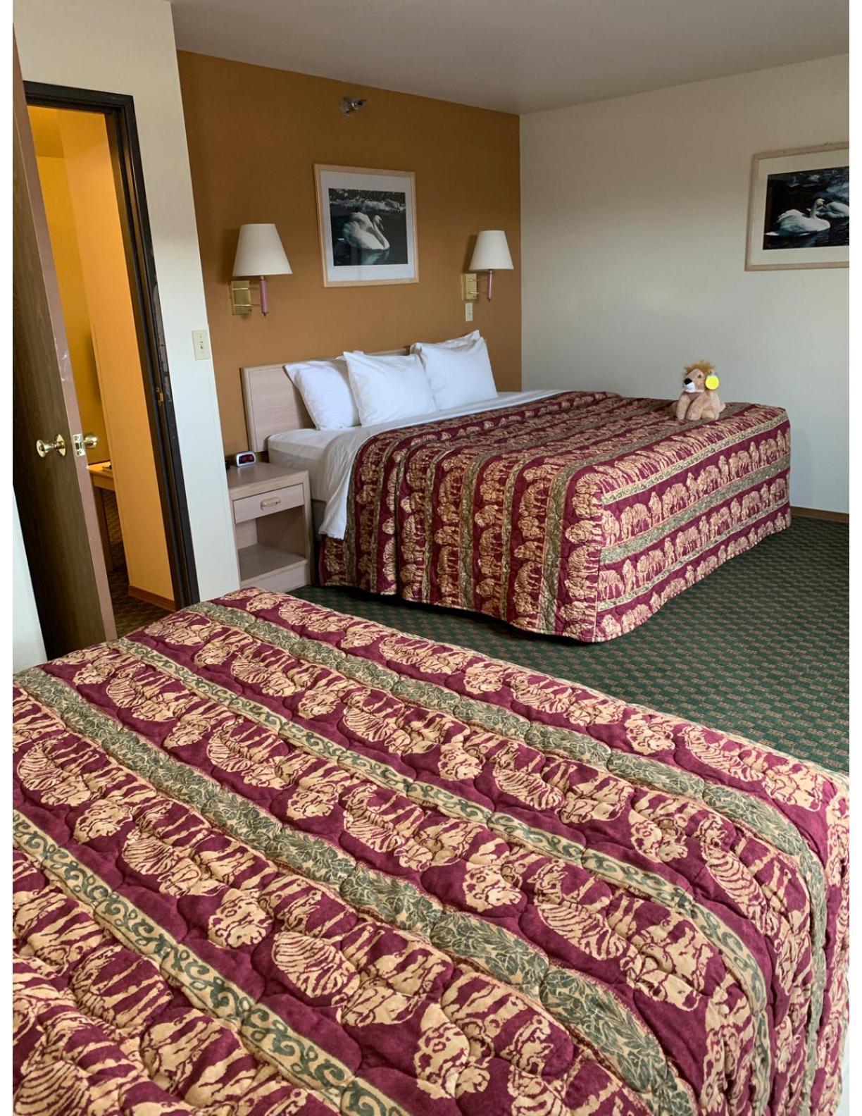 Kings Inn Cody photo 9