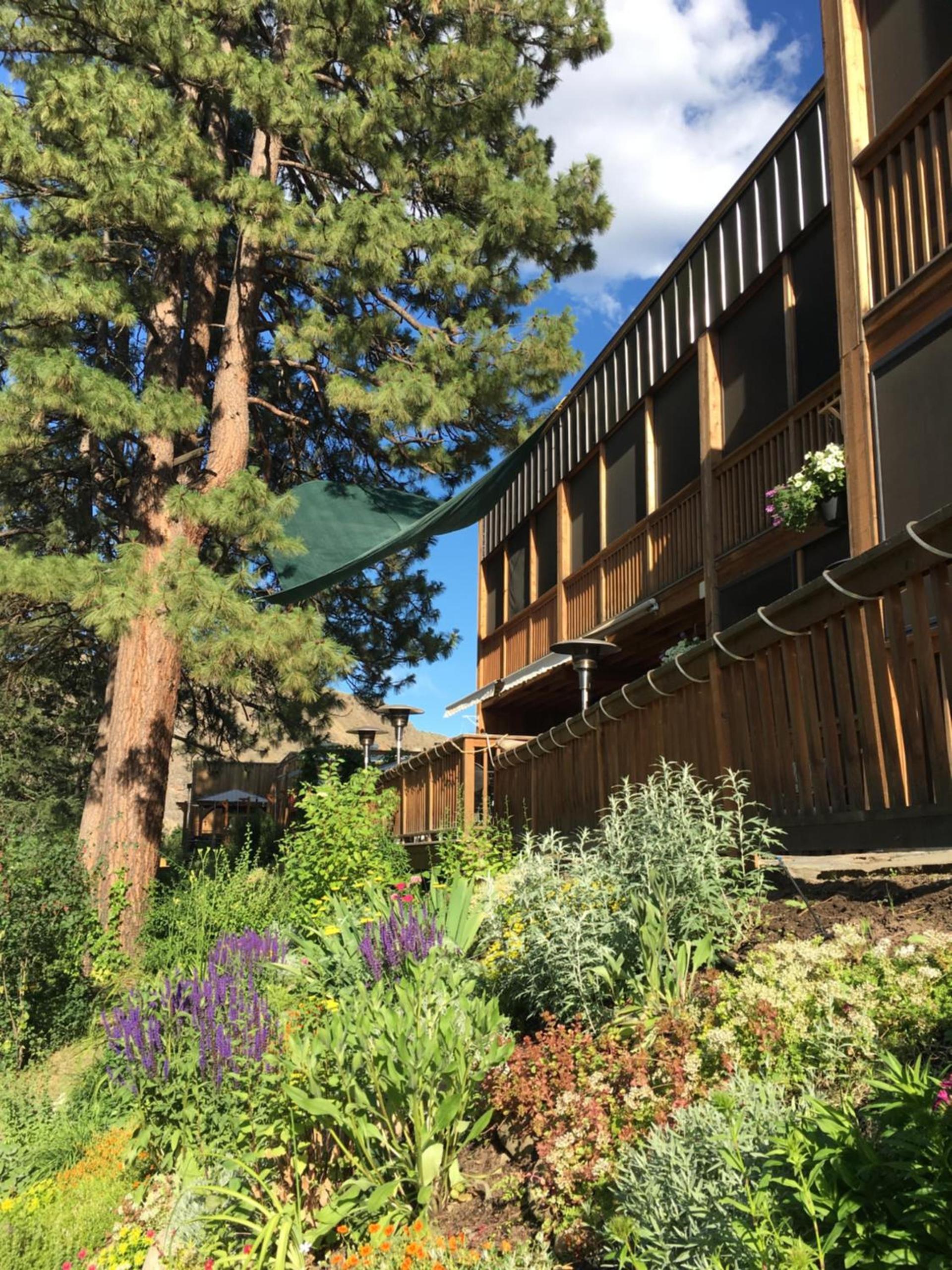Twisp River Suites photo 23