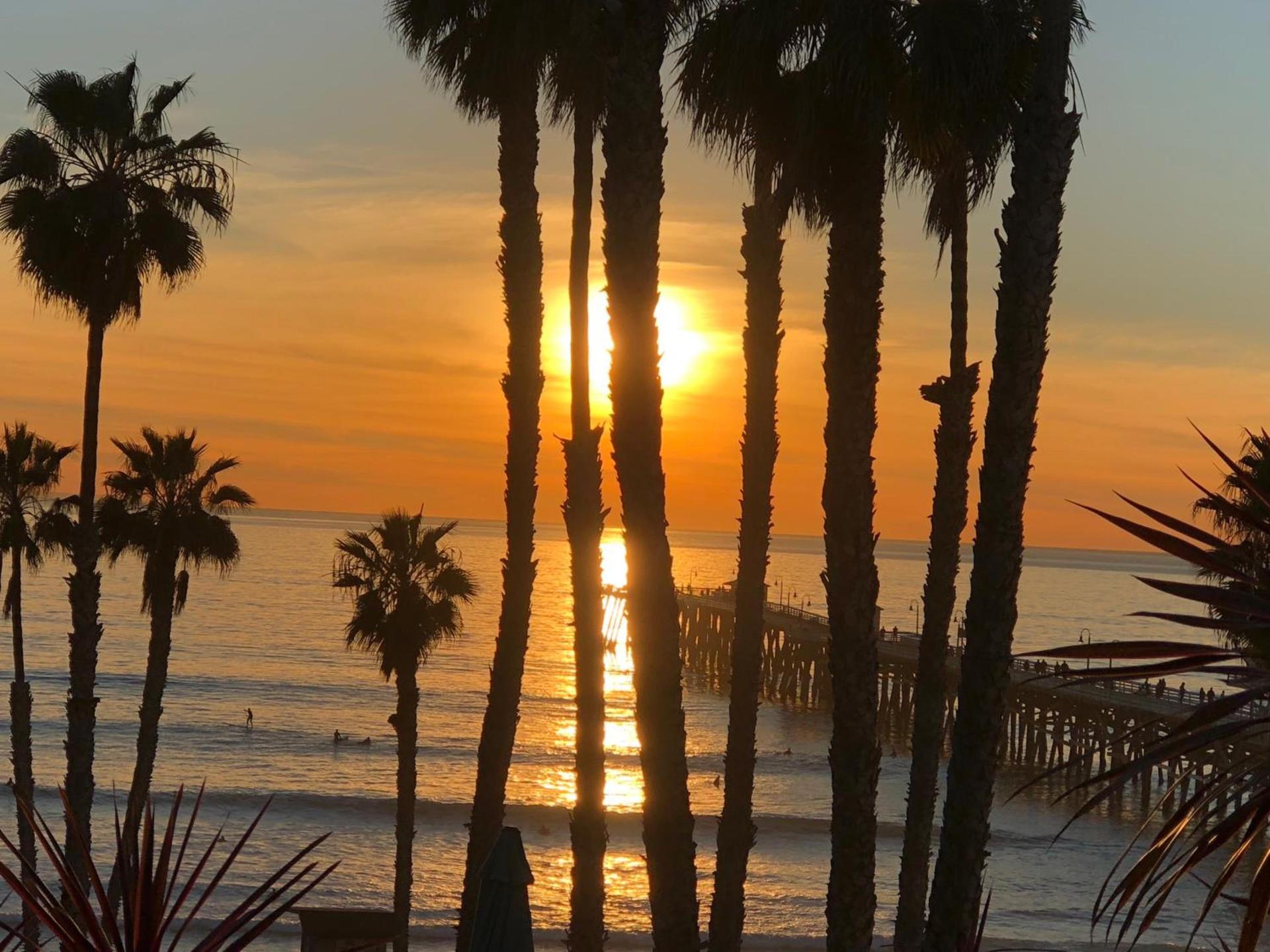 Sea Horse Resort photo 68