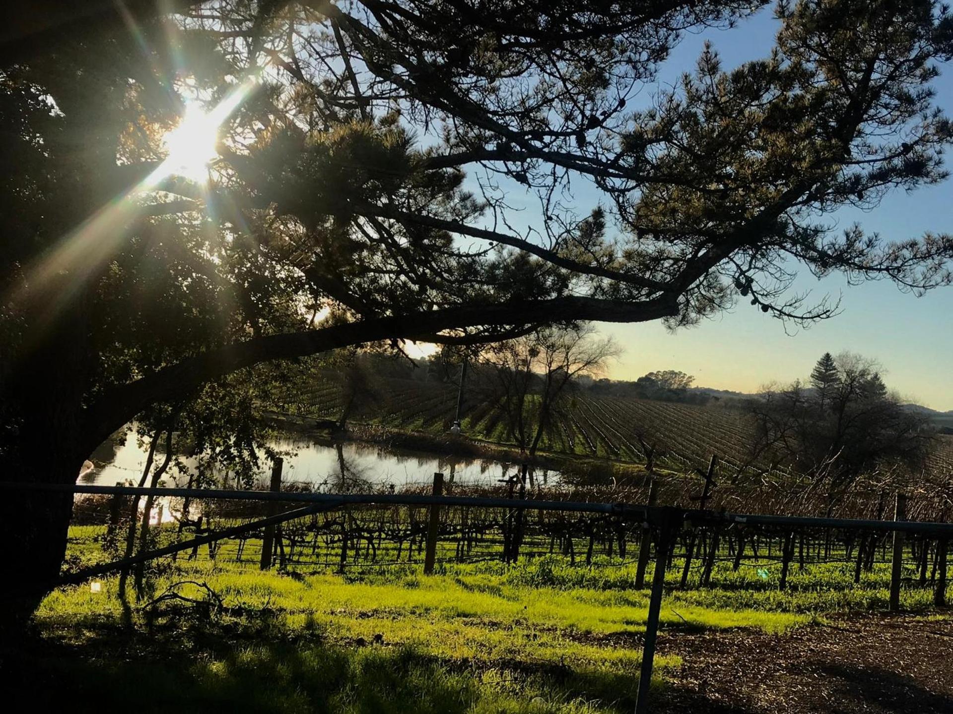Chardonnay Lodge photo 26