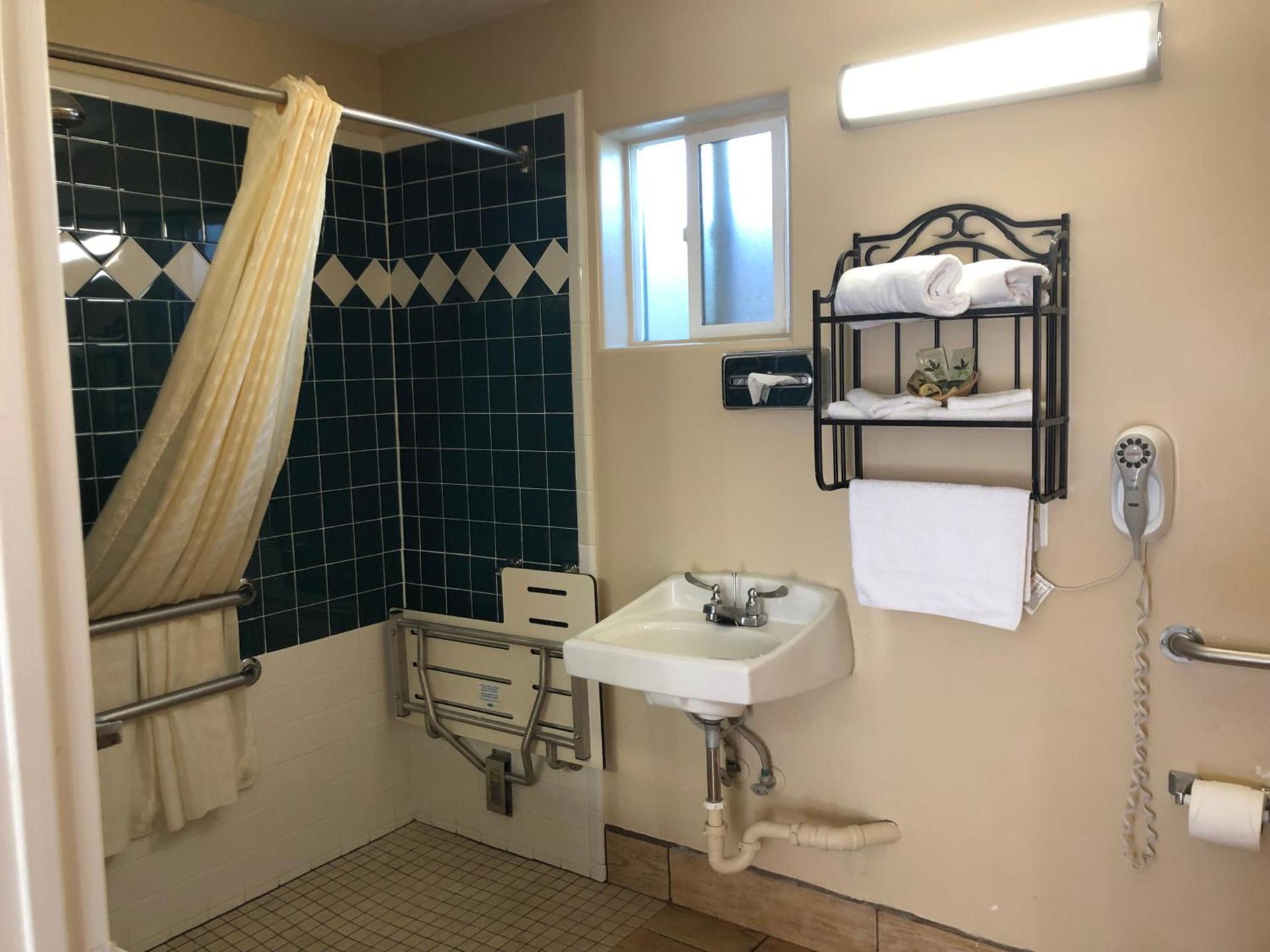 Holland Inn & Suites photo 36