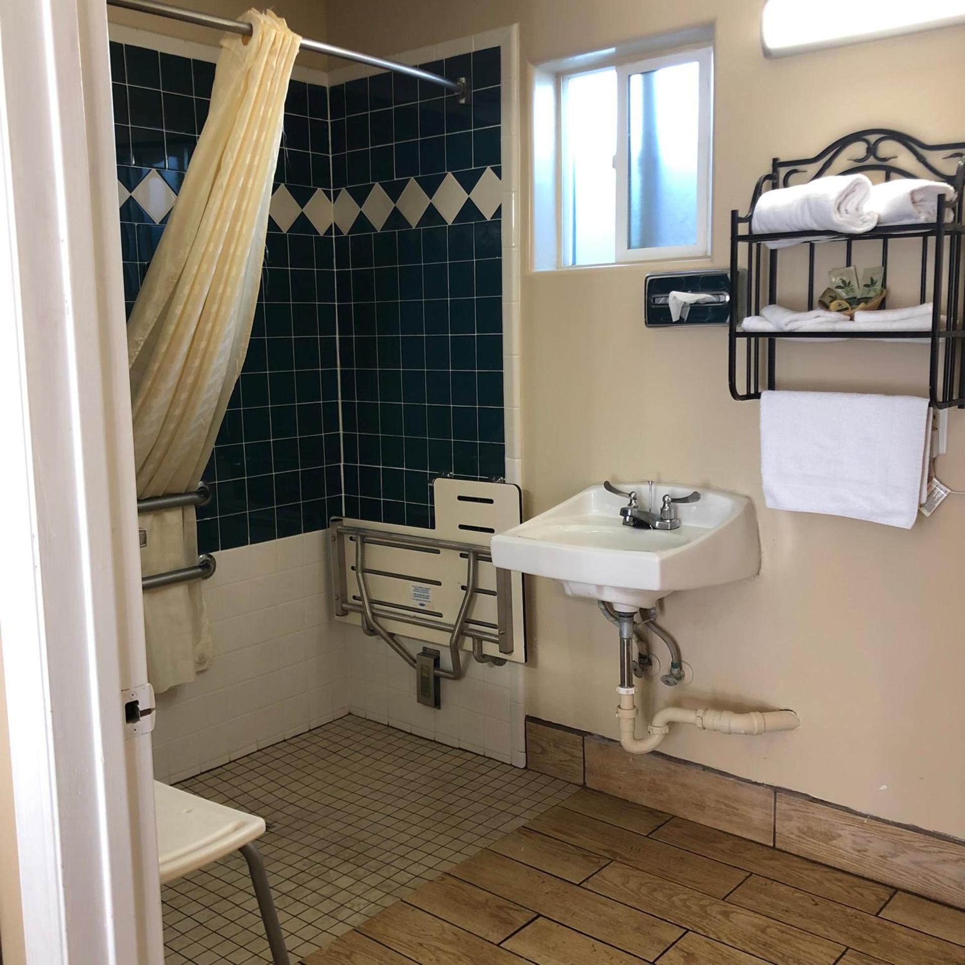 Holland Inn & Suites photo 35