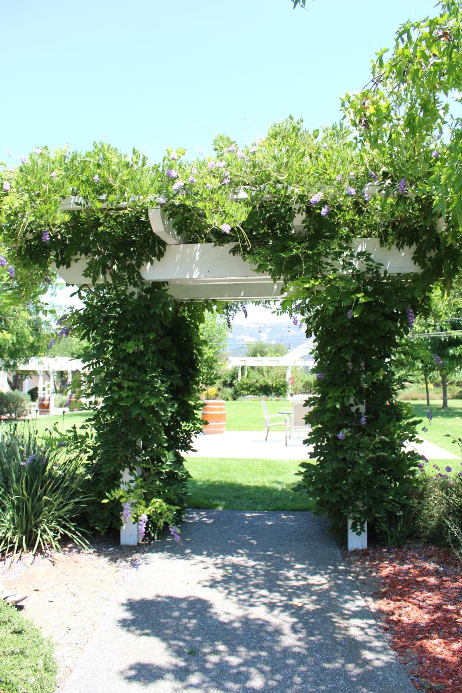 Geyserville Inn photo 17